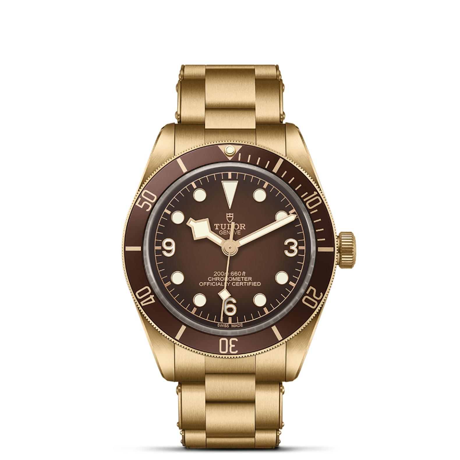 TUDOR Black Bay 58 Watch - M79012M-0001 at Lenkersdorfer
