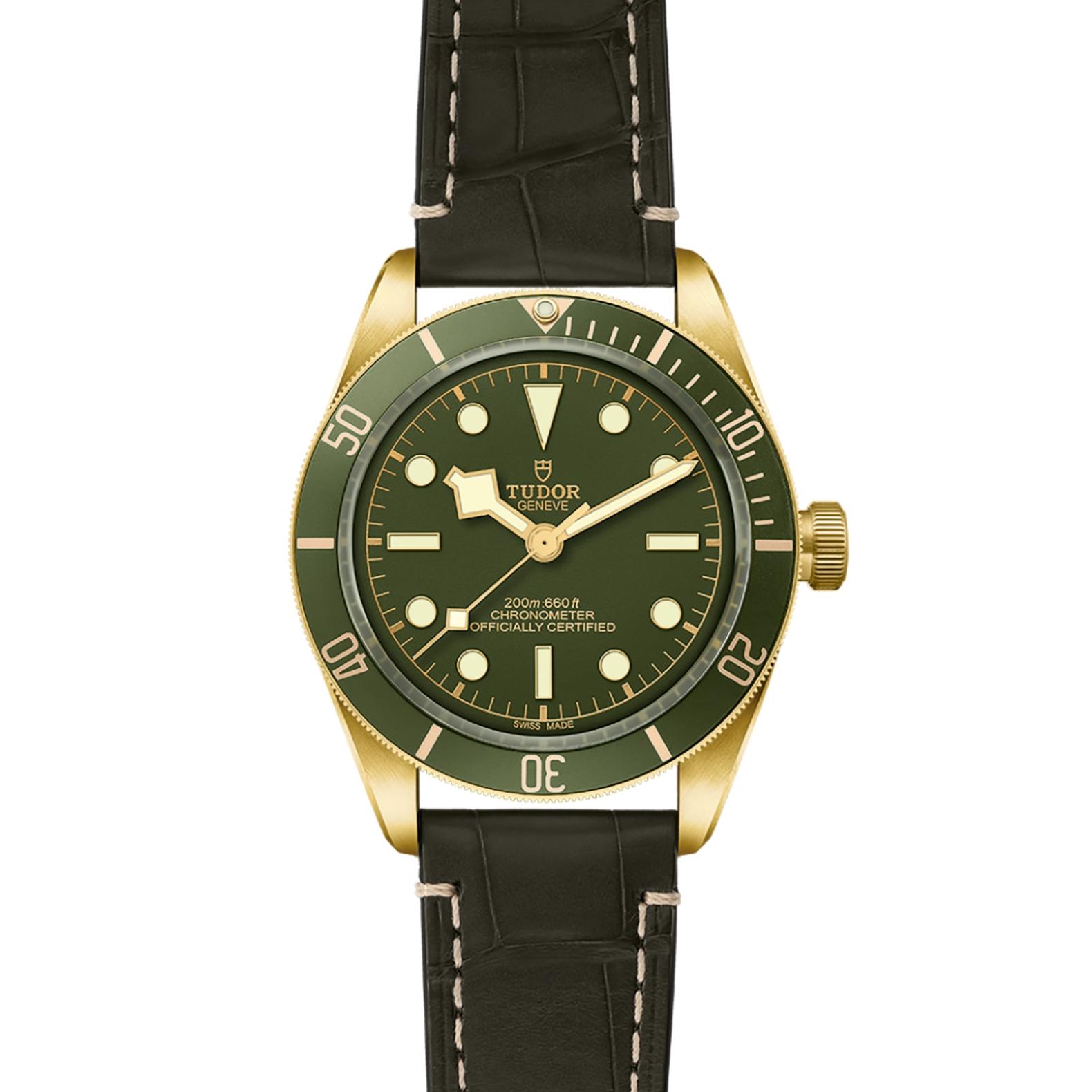 TUDOR Black Bay 58 Watch - M79018V-0001 at Lenkersdorfer