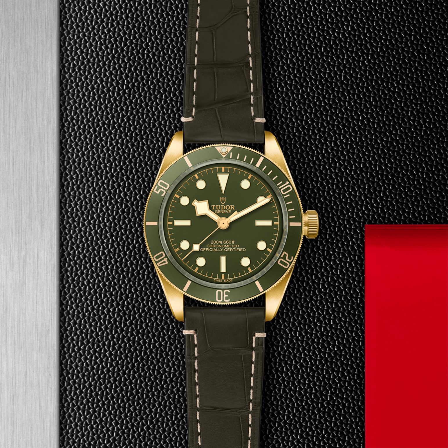 TUDOR Black Bay 58 Watch - M79018V-0001 at Lenkersdorfer