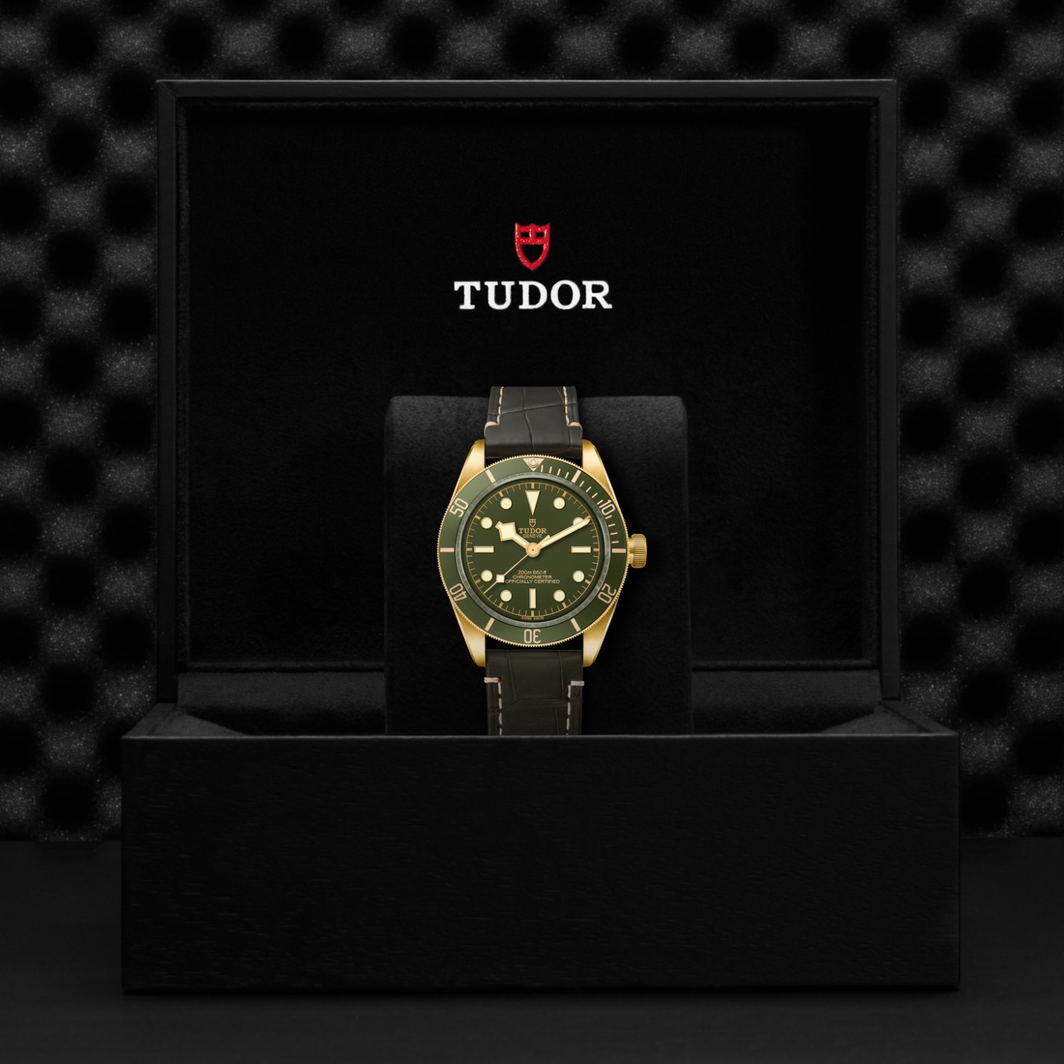 TUDOR Black Bay 58 Watch - M79018V-0001 at Lenkersdorfer