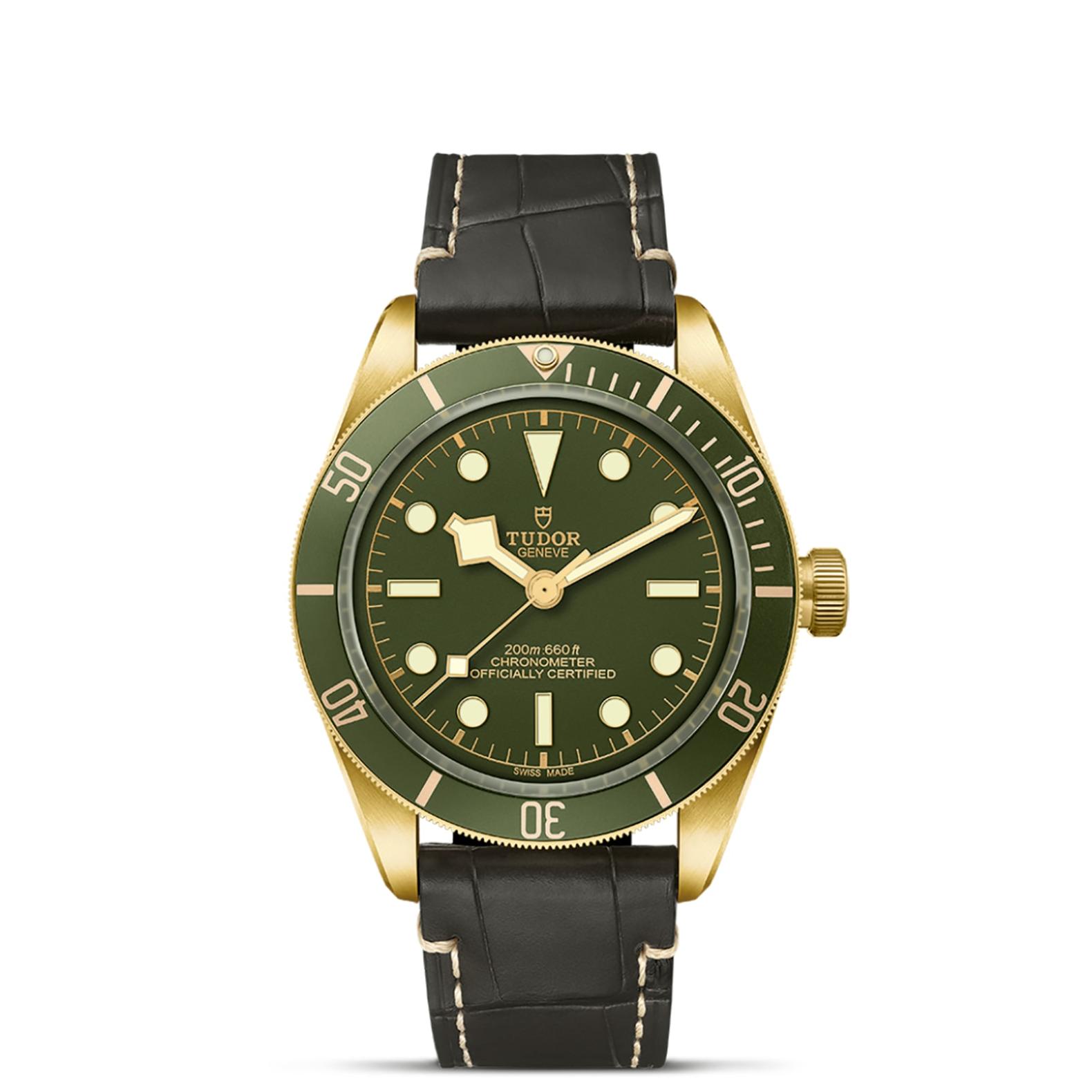 TUDOR Black Bay 58 Watch - M79018V-0001 at Lenkersdorfer