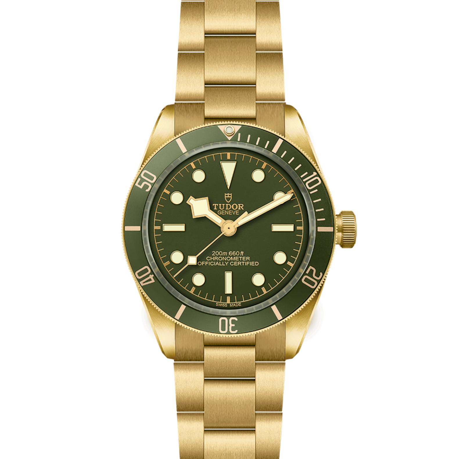 TUDOR Black Bay 58 Watch - M79018V-0006 at Lenkersdorfer