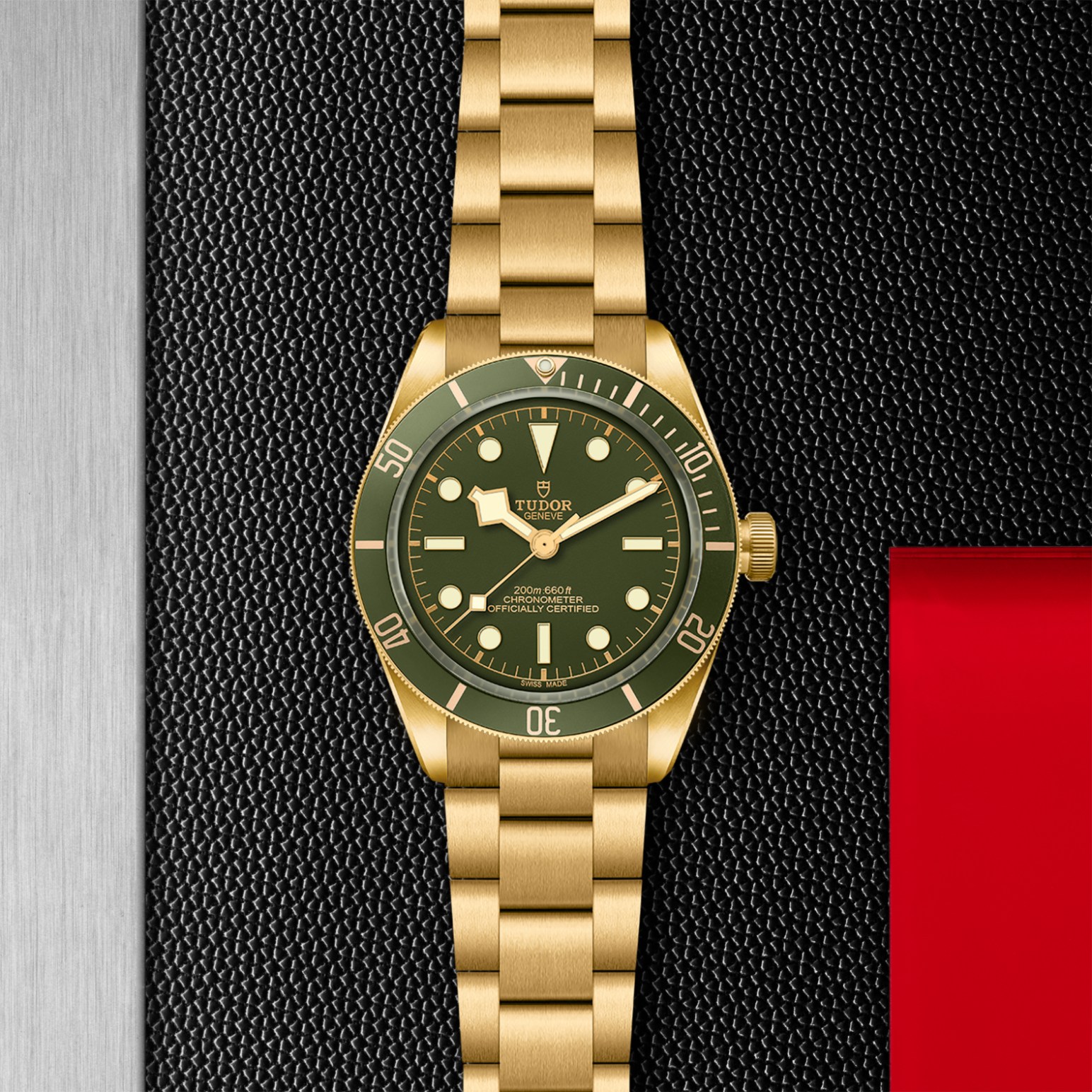 TUDOR Black Bay 58 Watch - M79018V-0006 at Lenkersdorfer