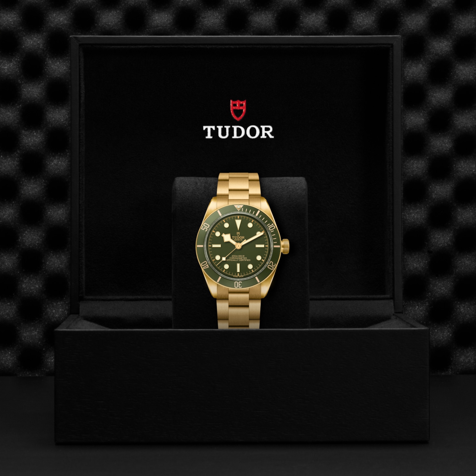 TUDOR Black Bay 58 Watch - M79018V-0006 at Lenkersdorfer