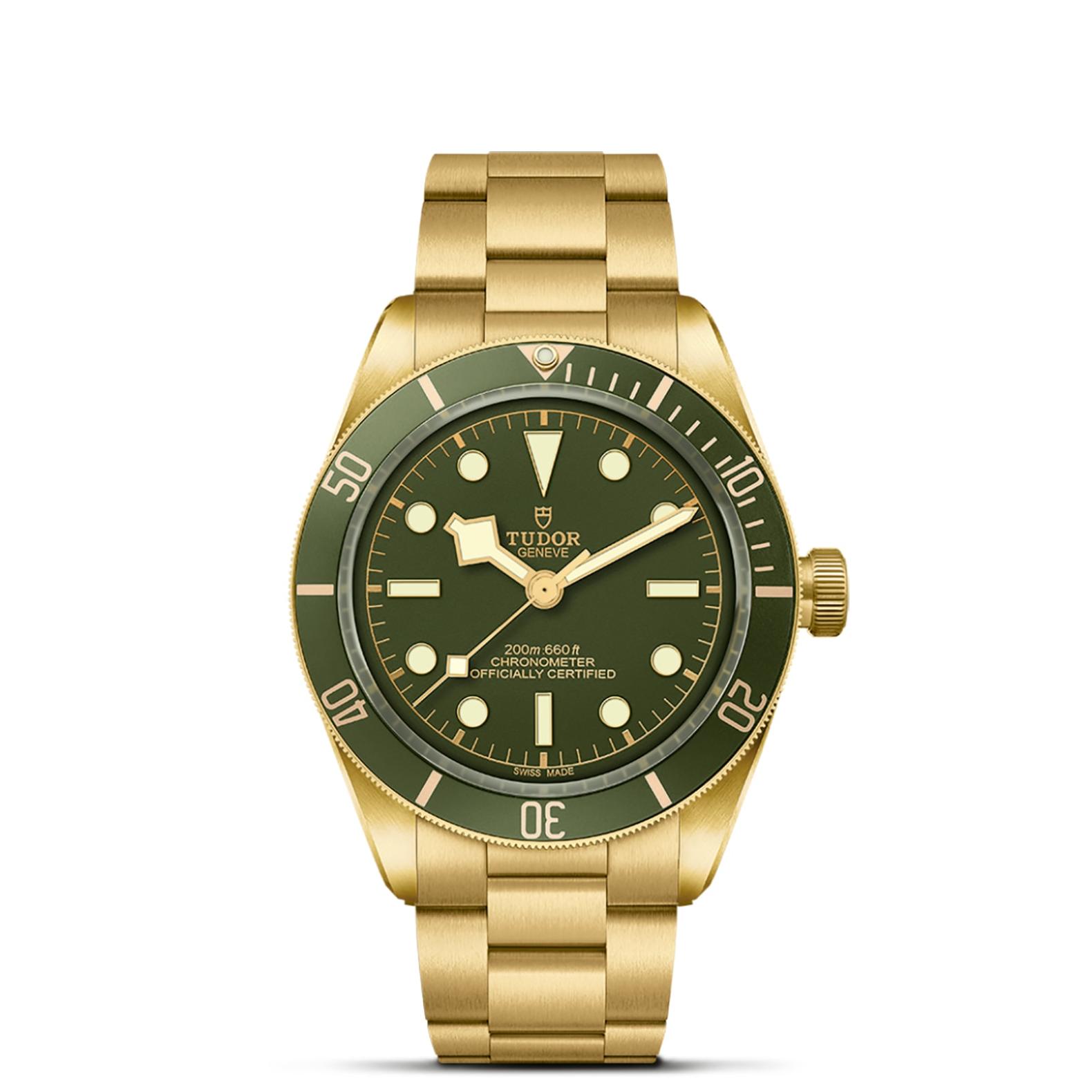 TUDOR Black Bay 58 Watch - M79018V-0006 at Lenkersdorfer