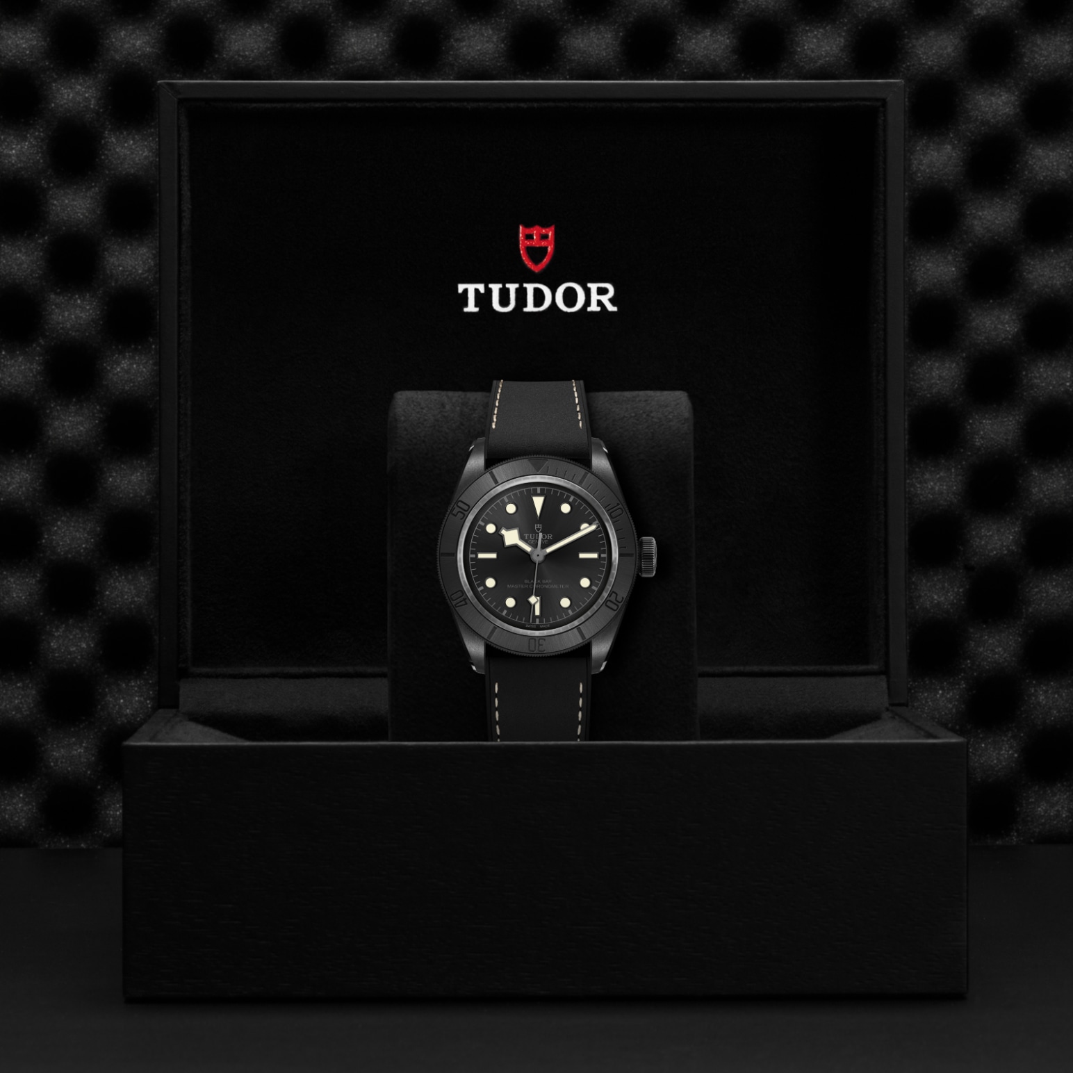 TUDOR Black Bay Watch - M79210CNU-0001 at Lenkersdorfer