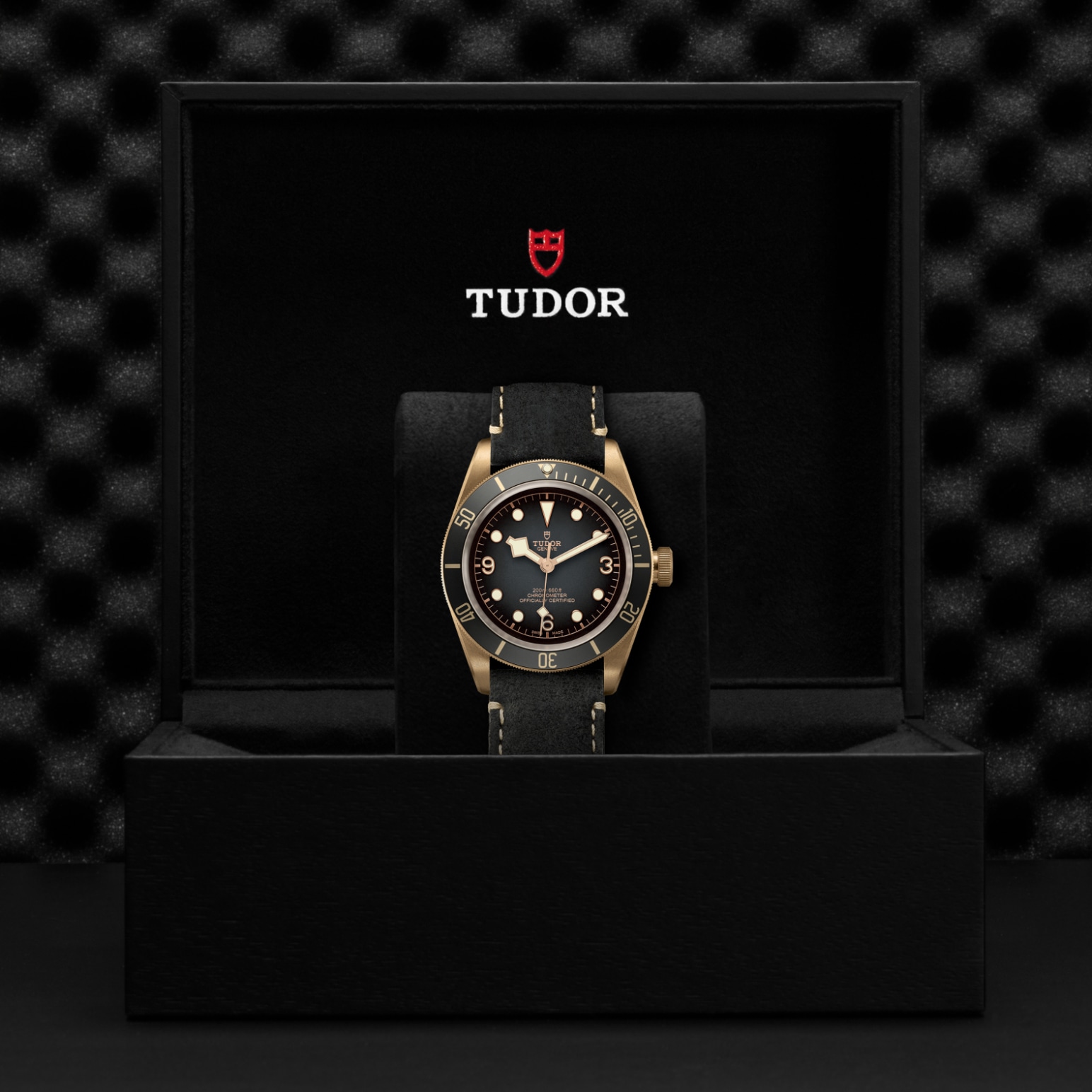 TUDOR Black Bay Bronze Watch - M79250BA-0001 at Lenkersdorfer