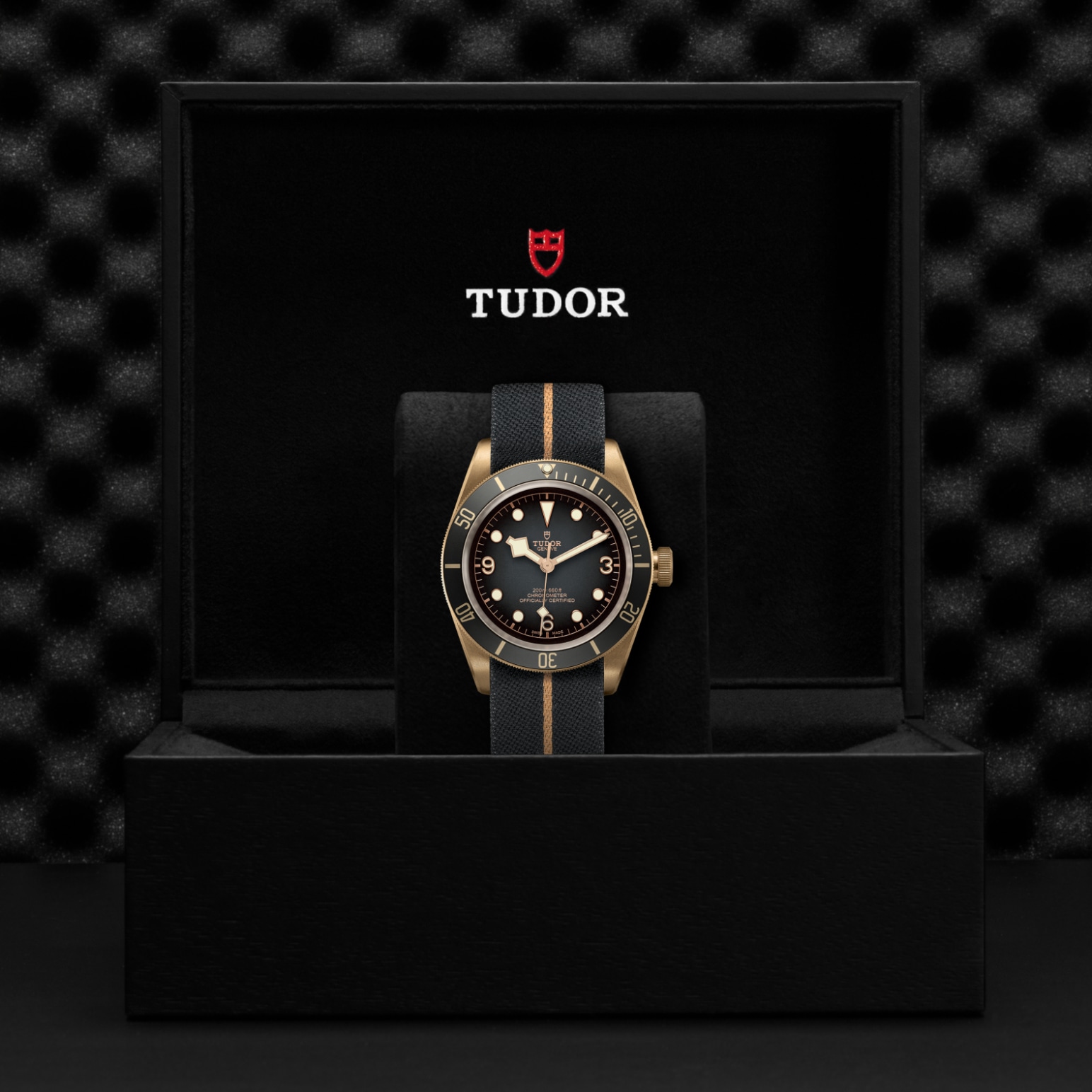 TUDOR Black Bay Bronze Watch - M79250BA-0002 at Lenkersdorfer