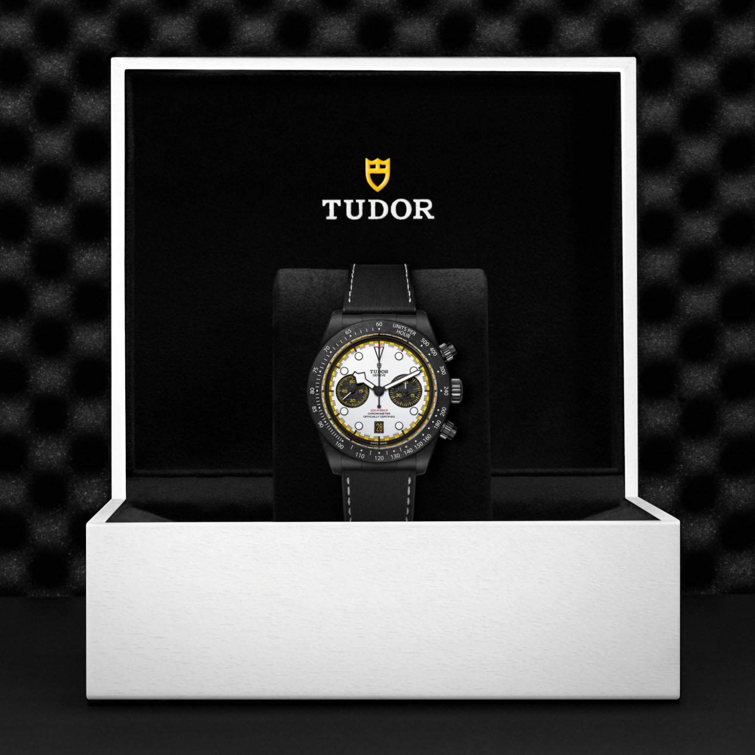 TUDOR Daring Watch - M79377KN-0003 at Lenkersdorfer