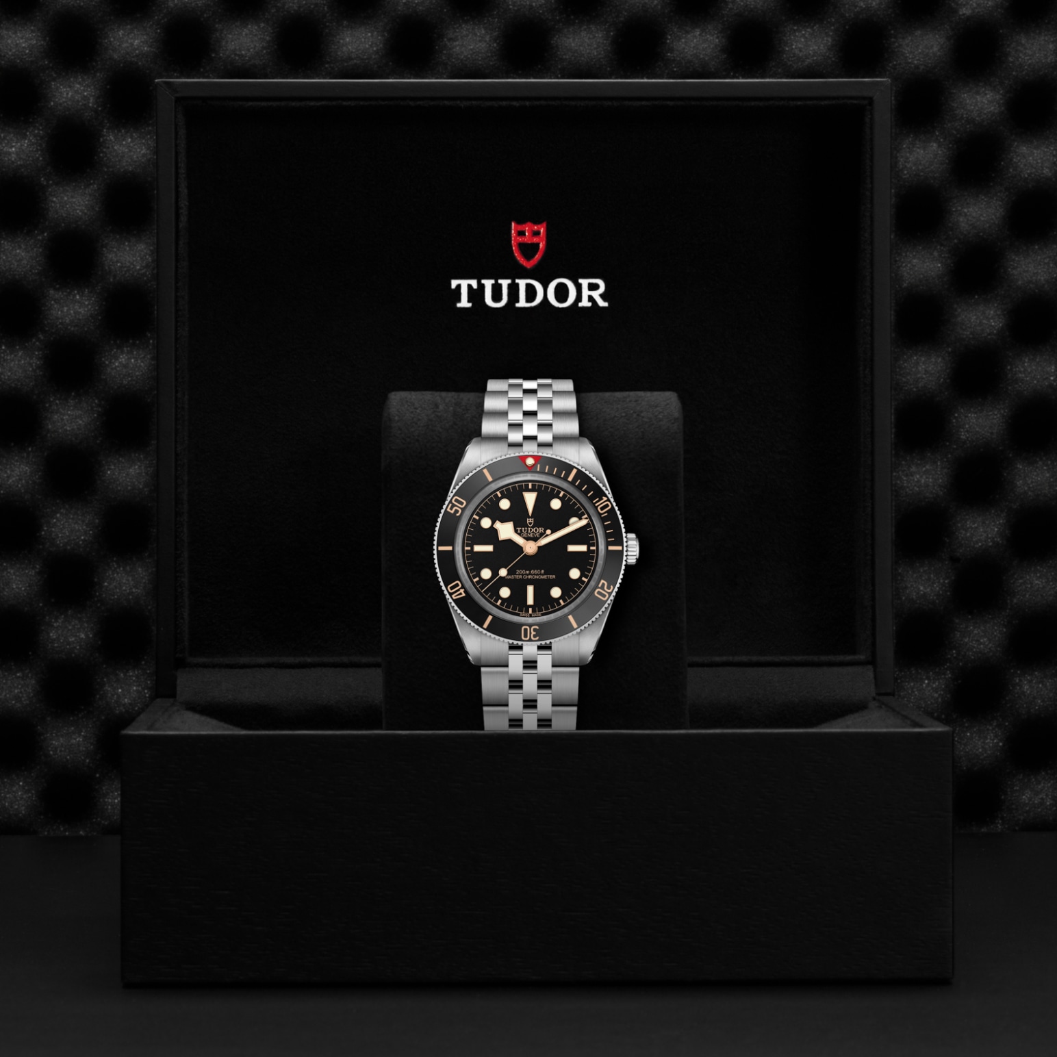 TUDOR Black Bay 58 Watch - M7939A1A0NU-0001 at Lenkersdorfer
