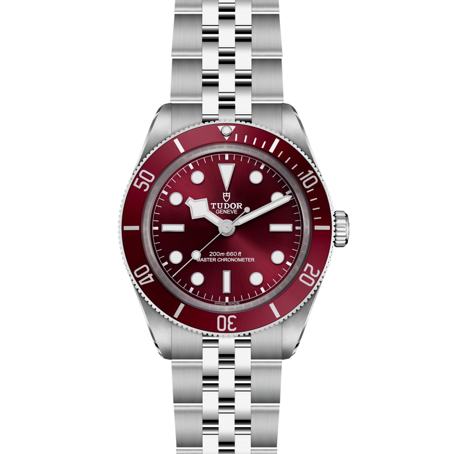 TUDOR Black Bay 58 Watch - M7939A1A0RU-0001 at Lenkersdorfer