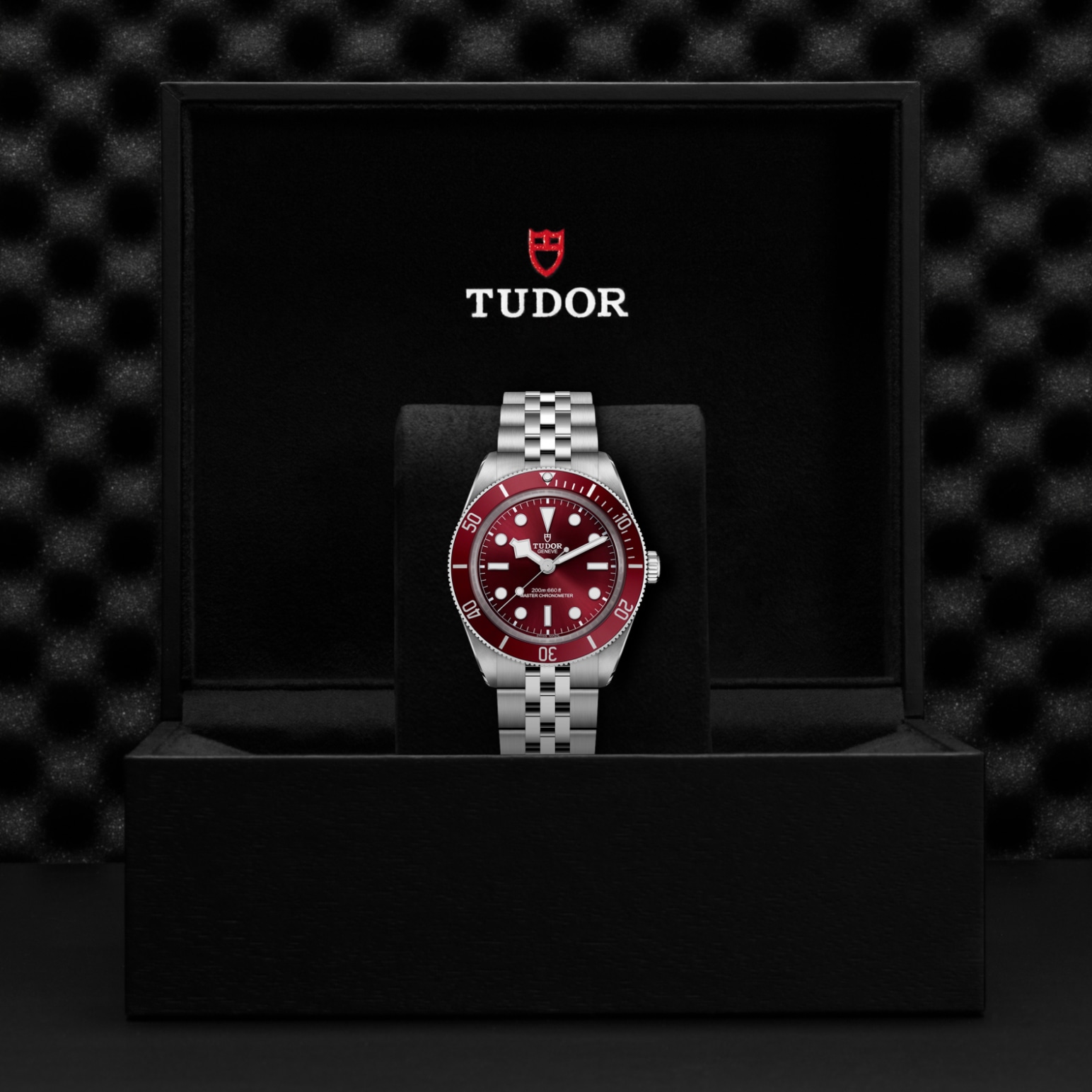 TUDOR Black Bay 58 Watch - M7939A1A0RU-0001 at Lenkersdorfer