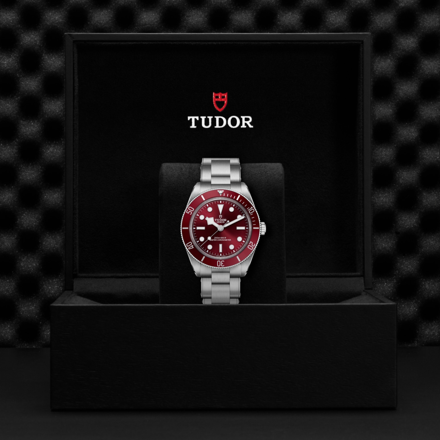 TUDOR Black Bay 58 Watch - M7939A1A0RU-0002 at Lenkersdorfer