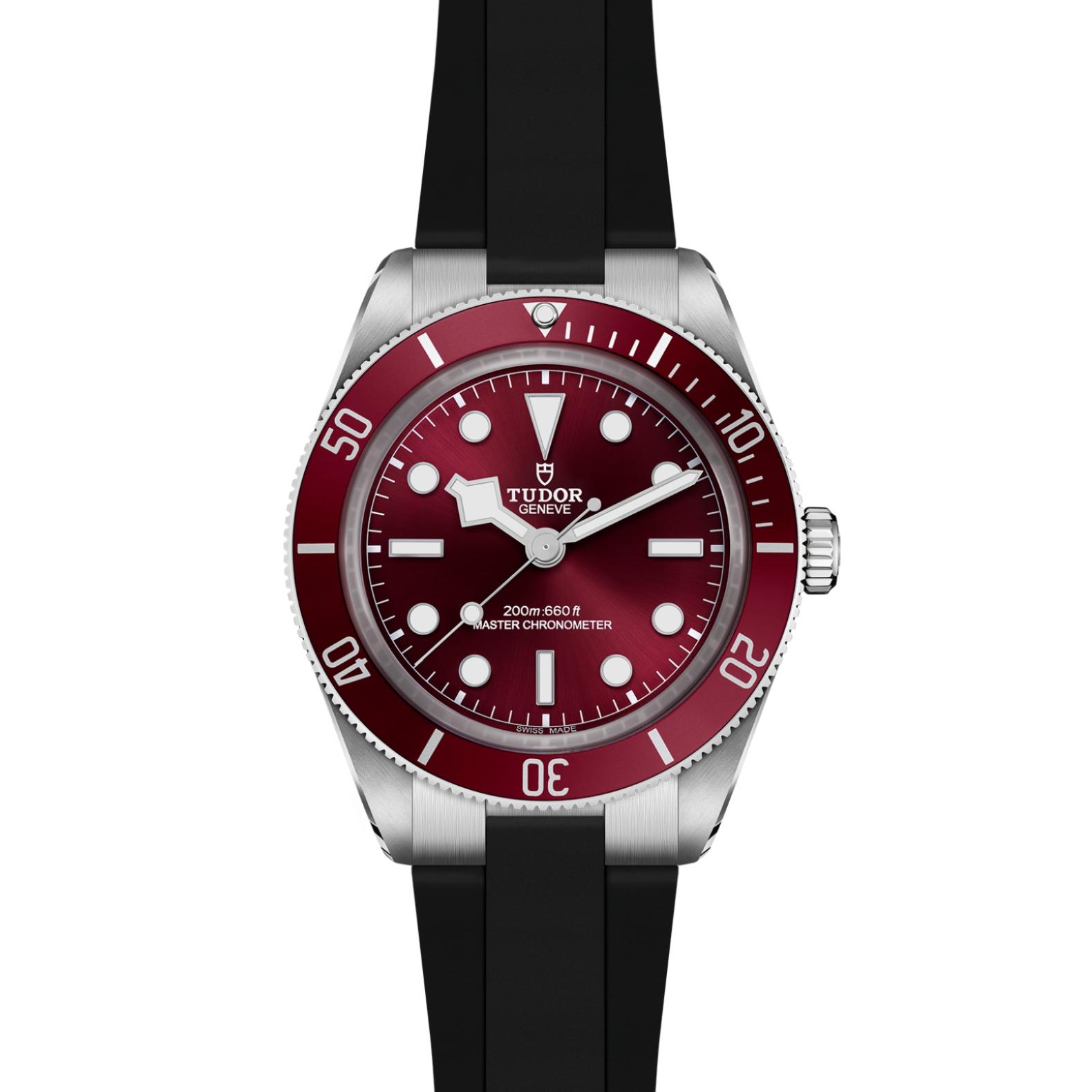 TUDOR Black Bay 58 Watch - M7939A1A0RU-0003 at Lenkersdorfer