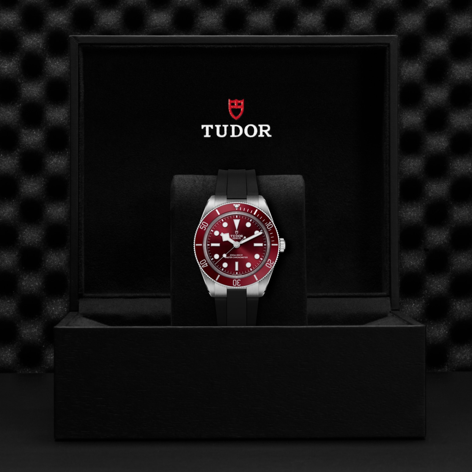 TUDOR Black Bay 58 Watch - M7939A1A0RU-0003 at Lenkersdorfer