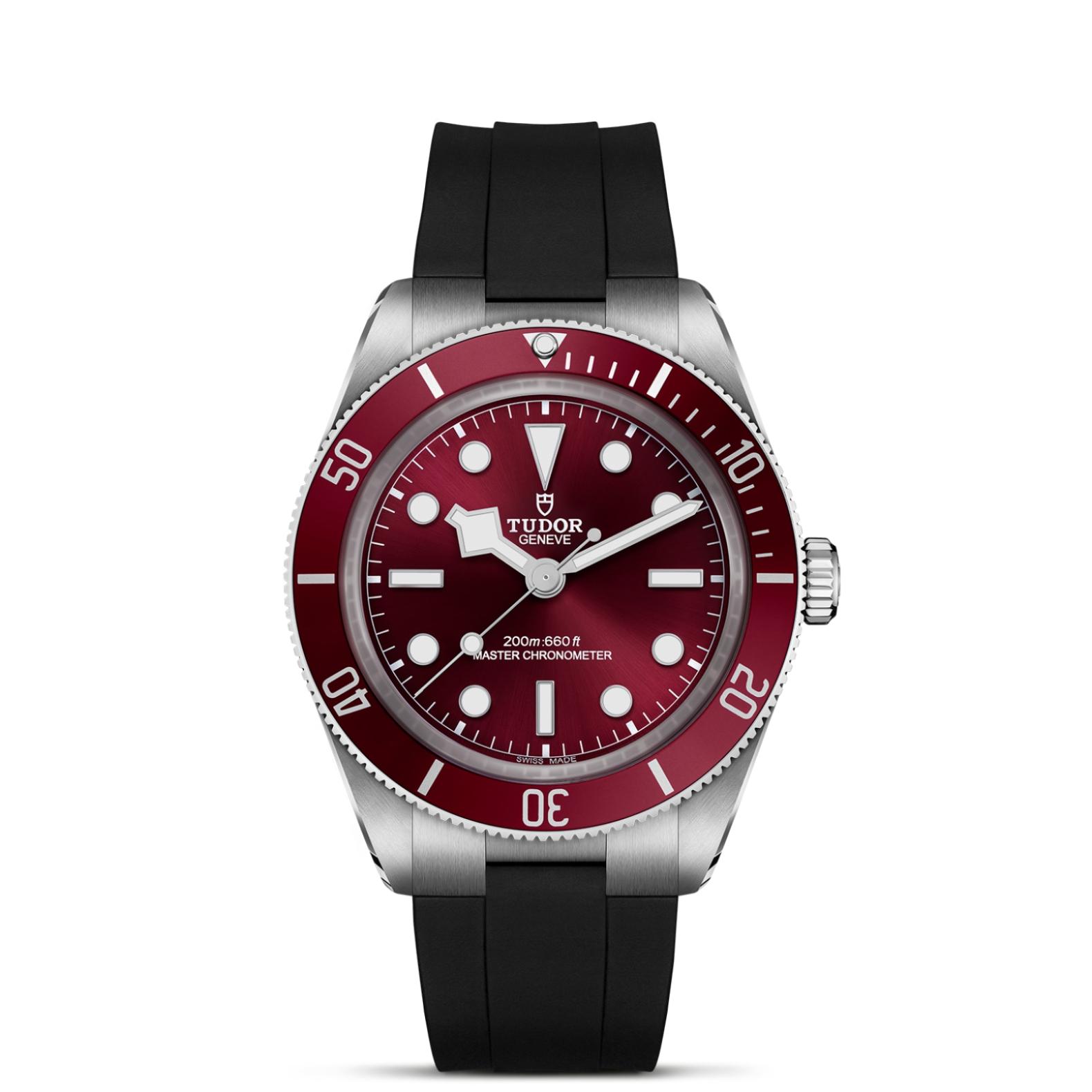 TUDOR Black Bay 58 Watch - M7939A1A0RU-0003 at Lenkersdorfer