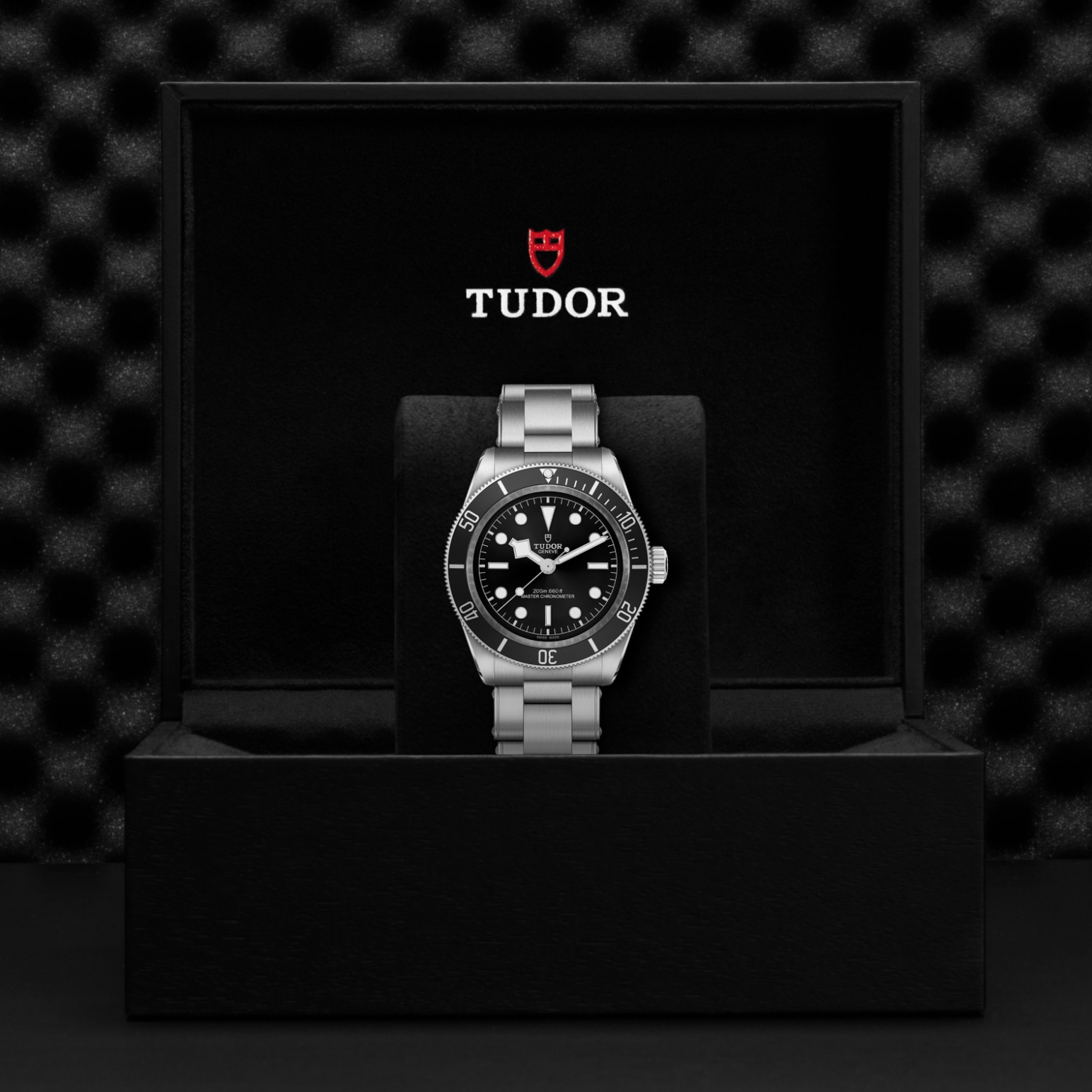 TUDOR Black Bay Watch - M7941A1A0NU-0001 at Lenkersdorfer