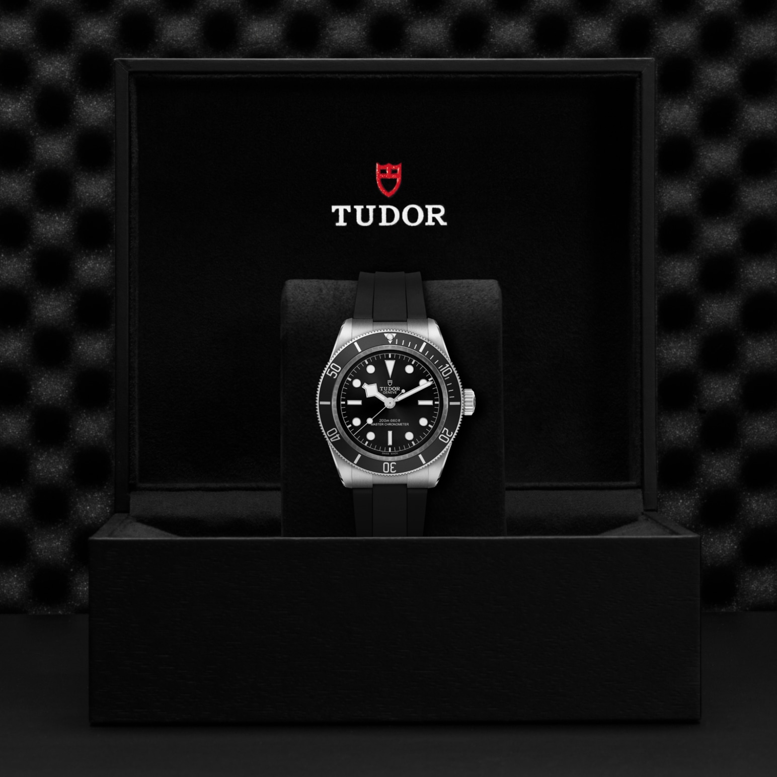 TUDOR Black Bay Watch - M7941A1A0NU-0002 at Lenkersdorfer