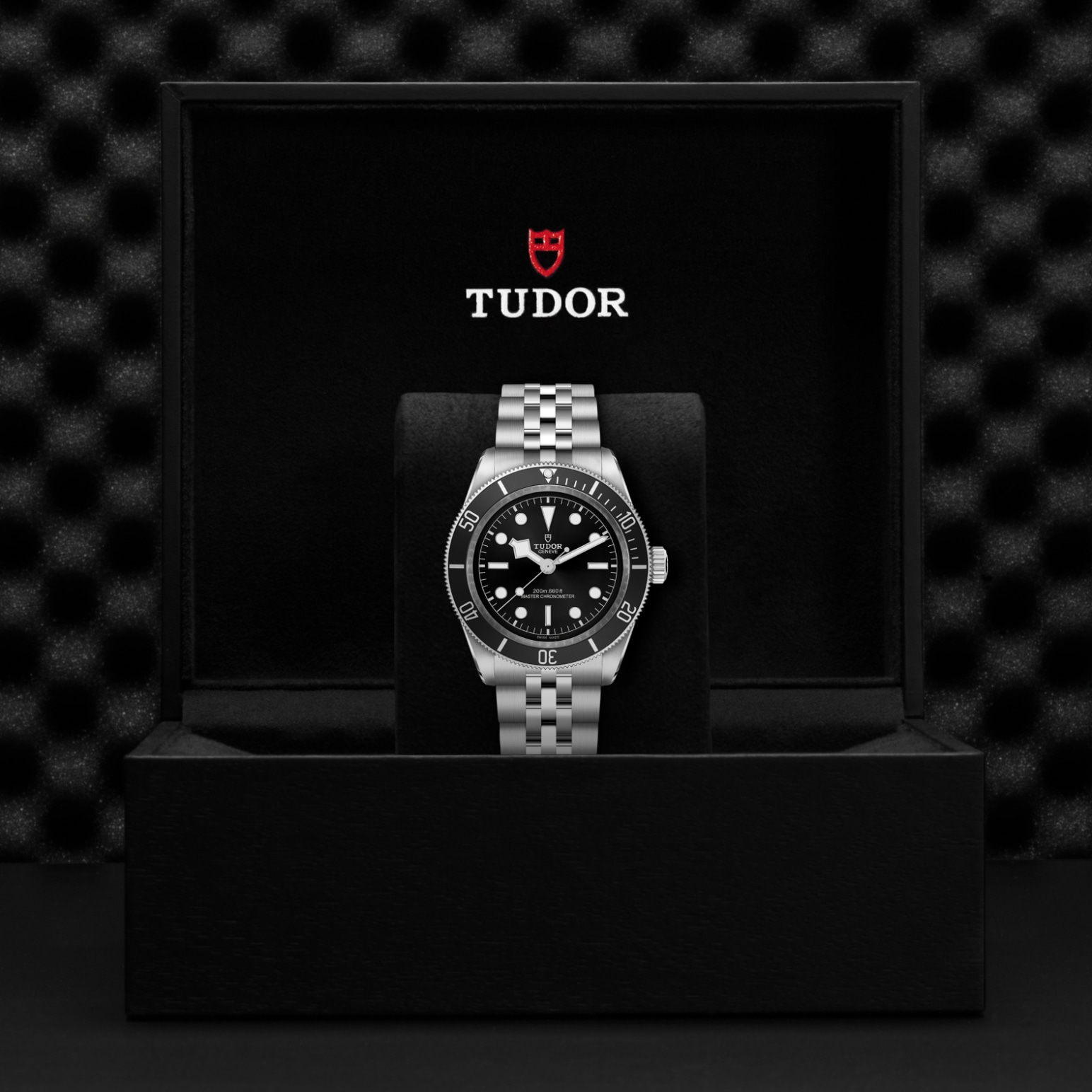 TUDOR Black Bay Watch - M7941A1A0NU-0003 at Lenkersdorfer