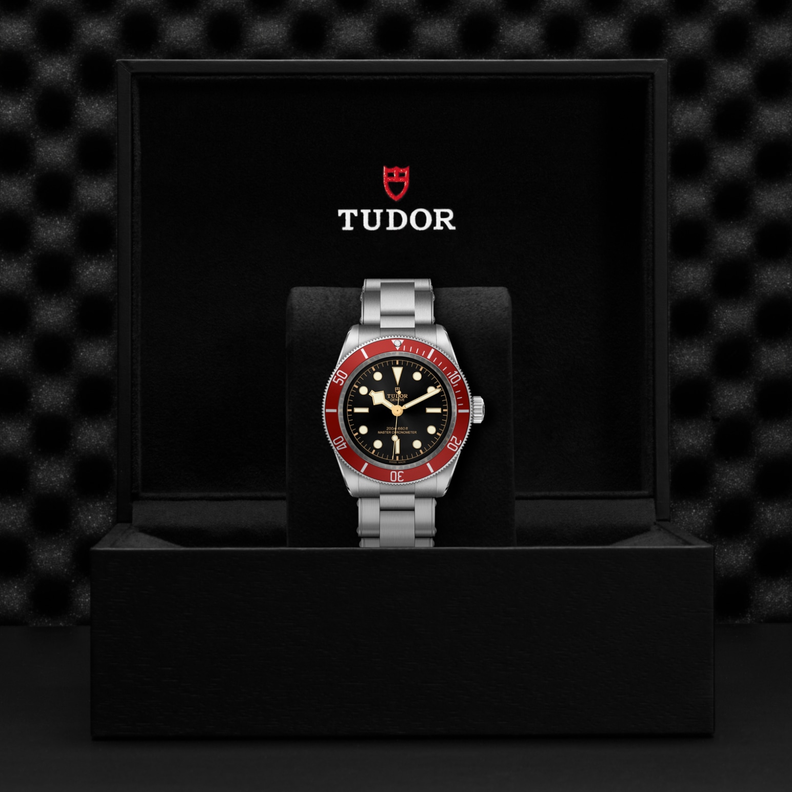 TUDOR Black Bay Watch - M7941A1A0RU-0001 at Lenkersdorfer