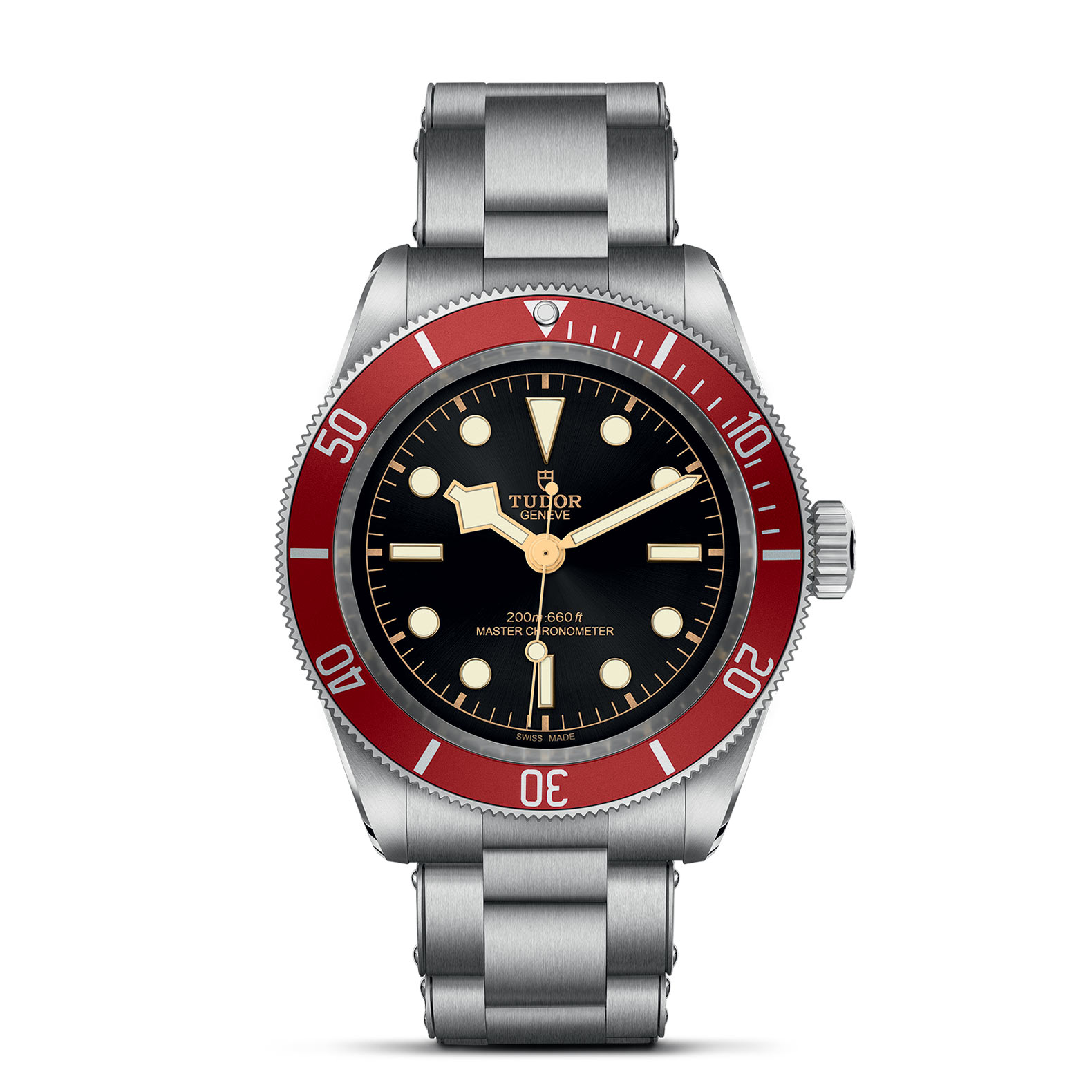 Tudor Black Bay