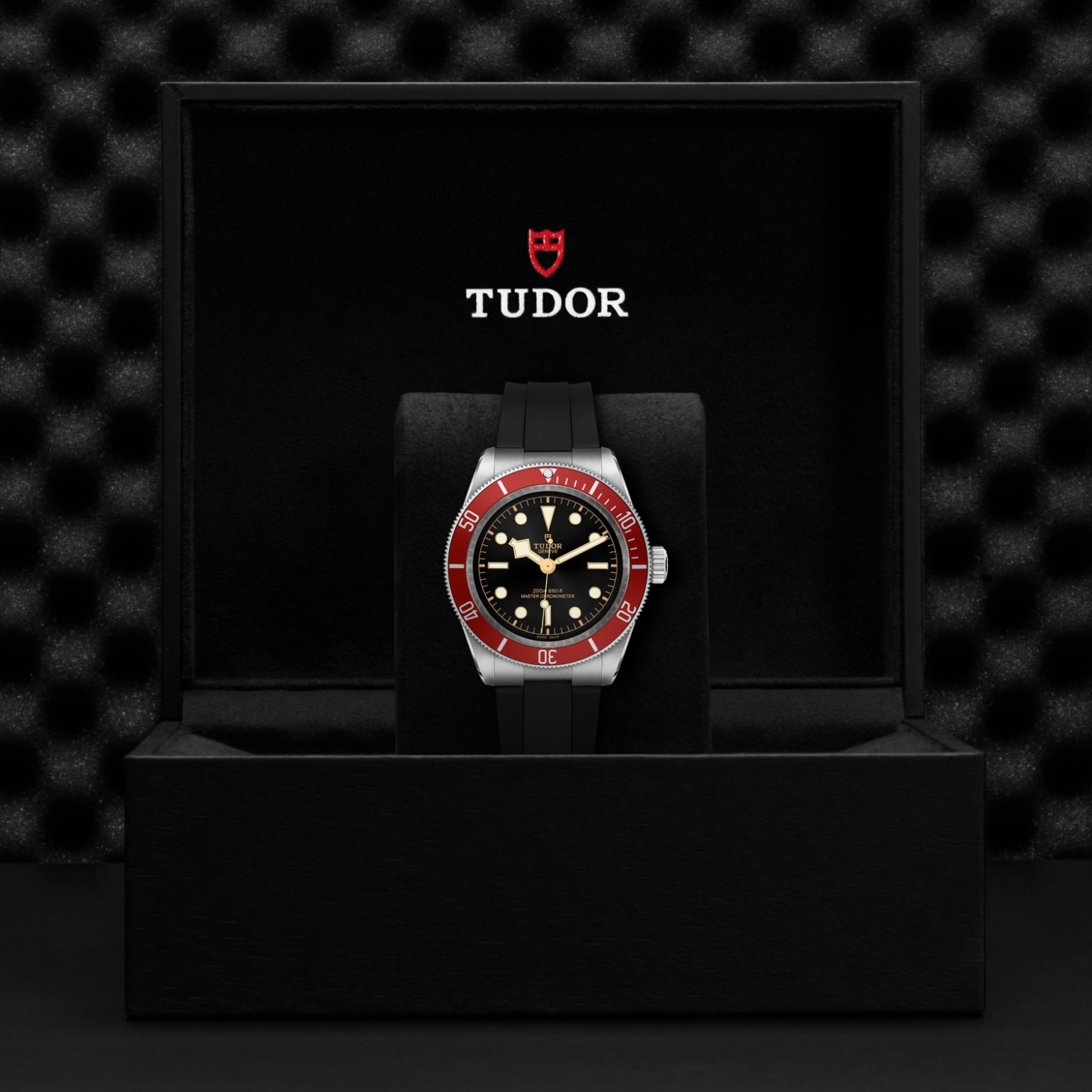 TUDOR Black Bay Watch - M7941A1A0RU-0002 at Lenkersdorfer
