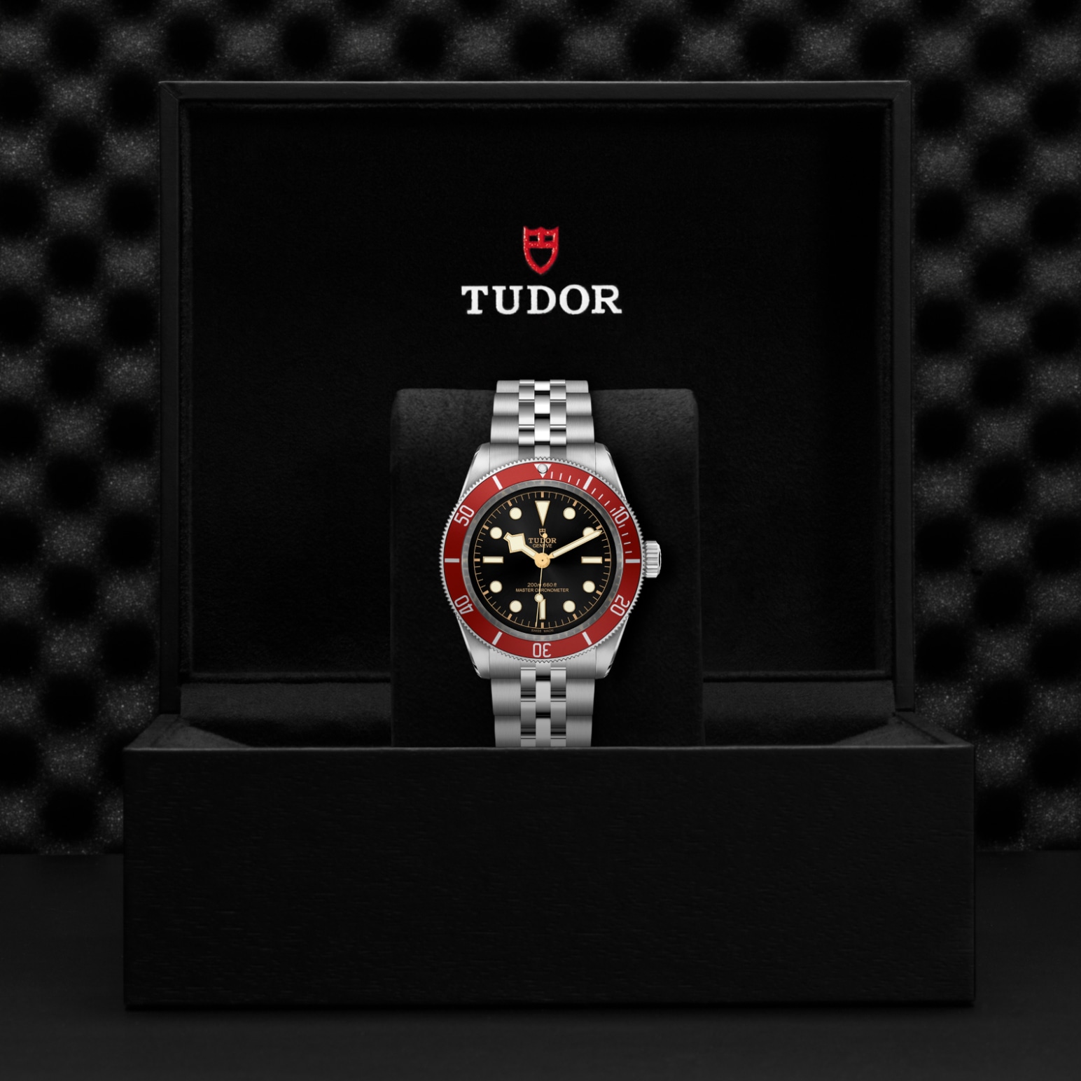 TUDOR Black Bay Watch - M7941A1A0RU-0003 at Lenkersdorfer