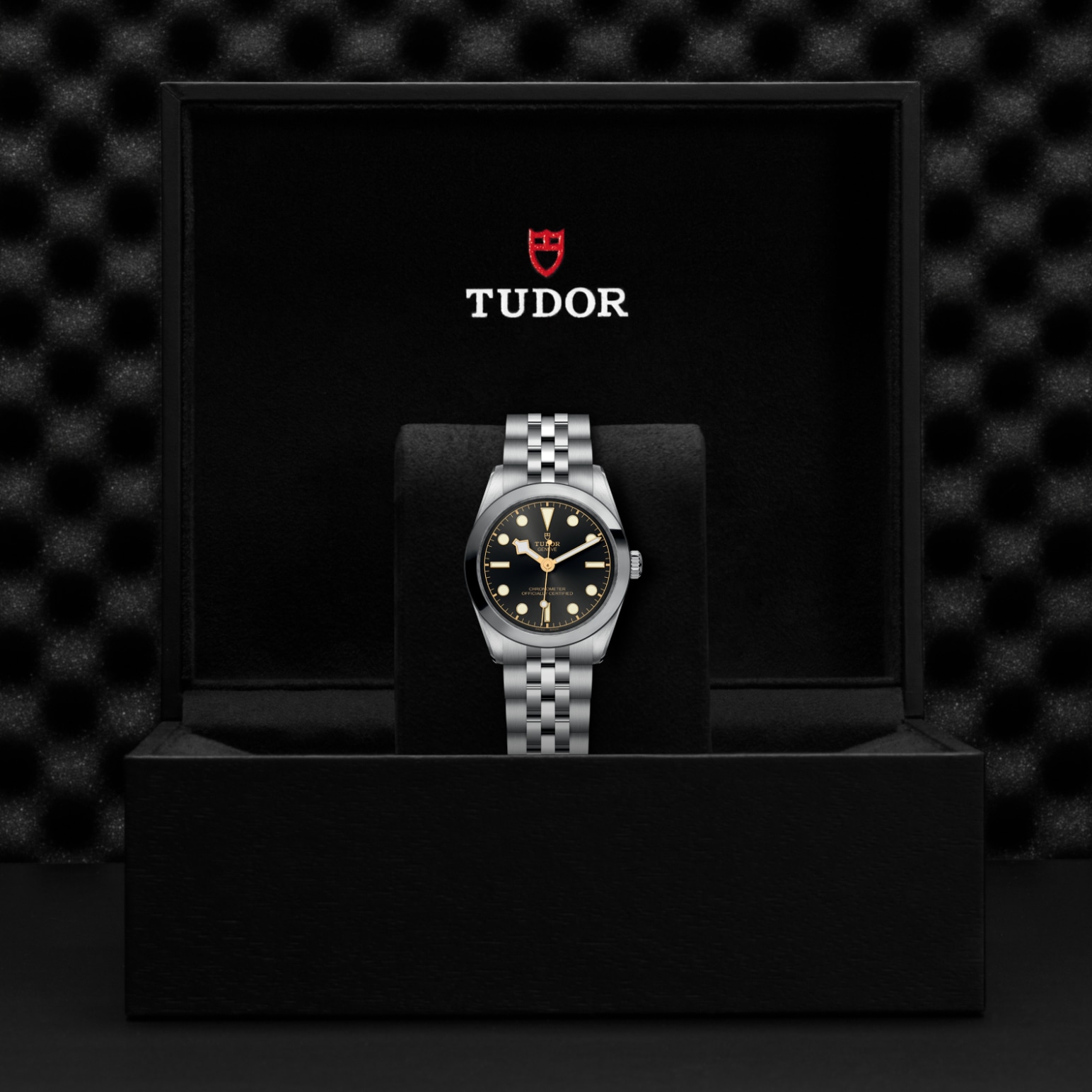 TUDOR Black Bay 31/36/39/41 Watch - M79600-0001 at Lenkersdorfer