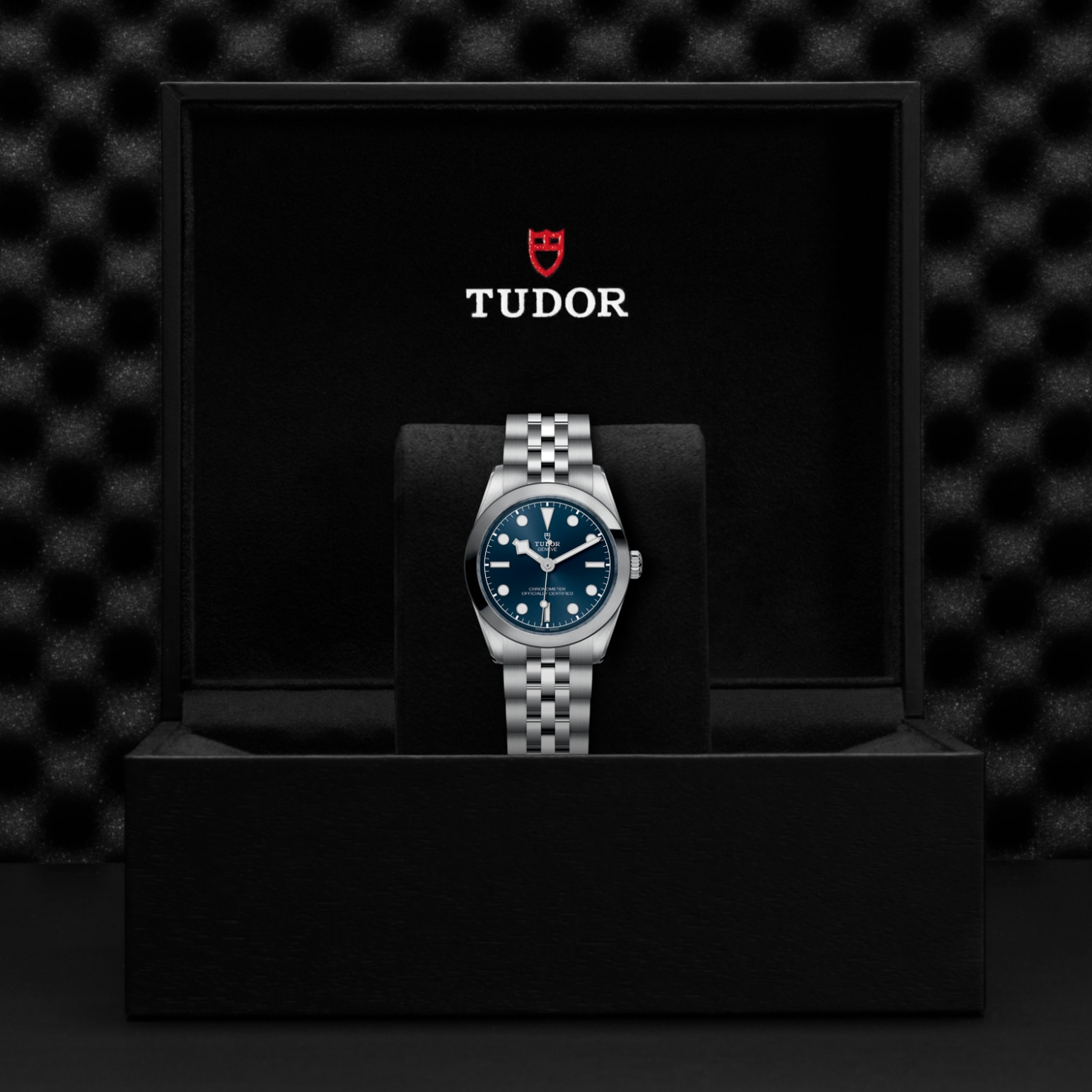 TUDOR Black Bay 31/36/39/41 Watch - M79600-0002 at Lenkersdorfer