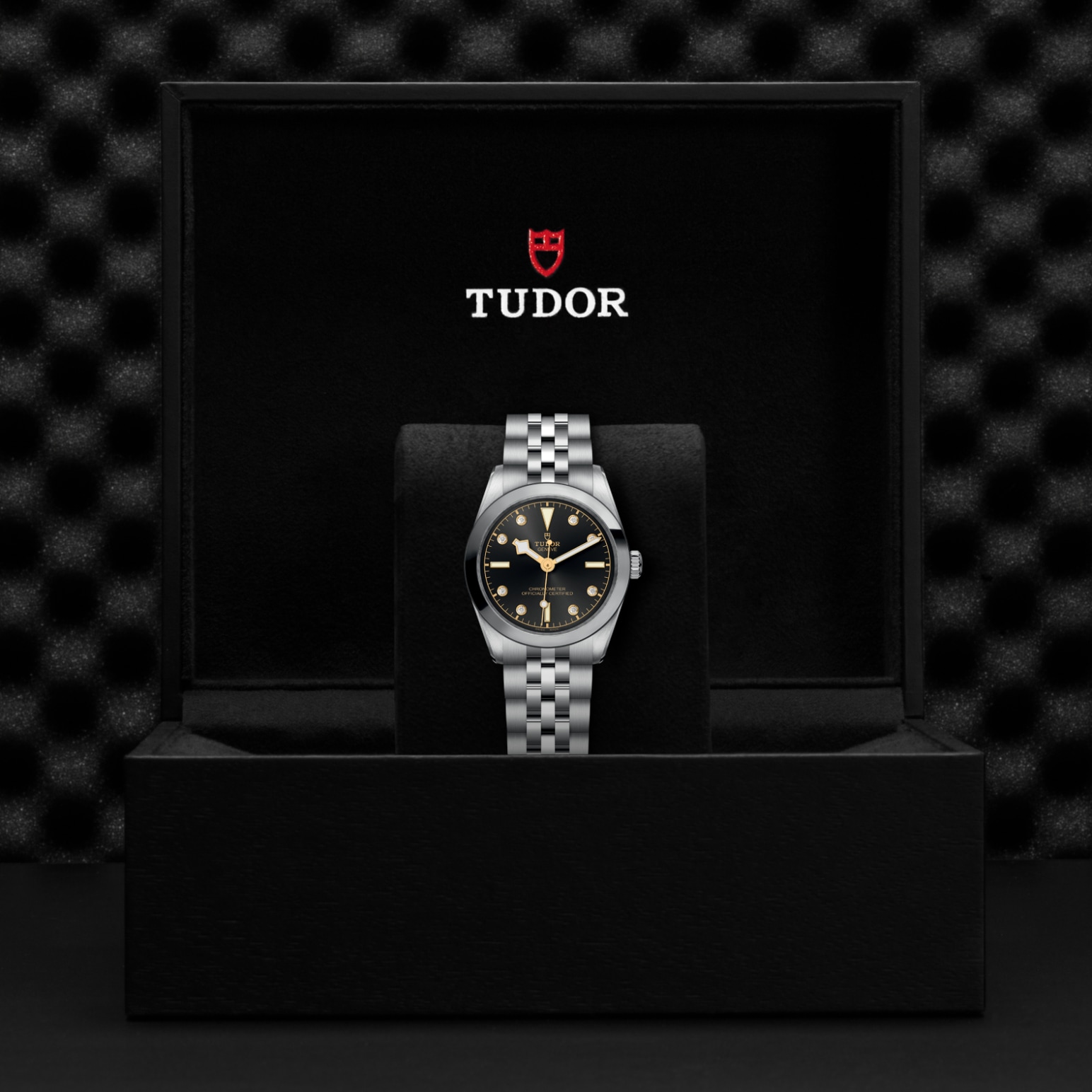 TUDOR Black Bay 31/36/39/41 Watch - M79600-0004 at Lenkersdorfer