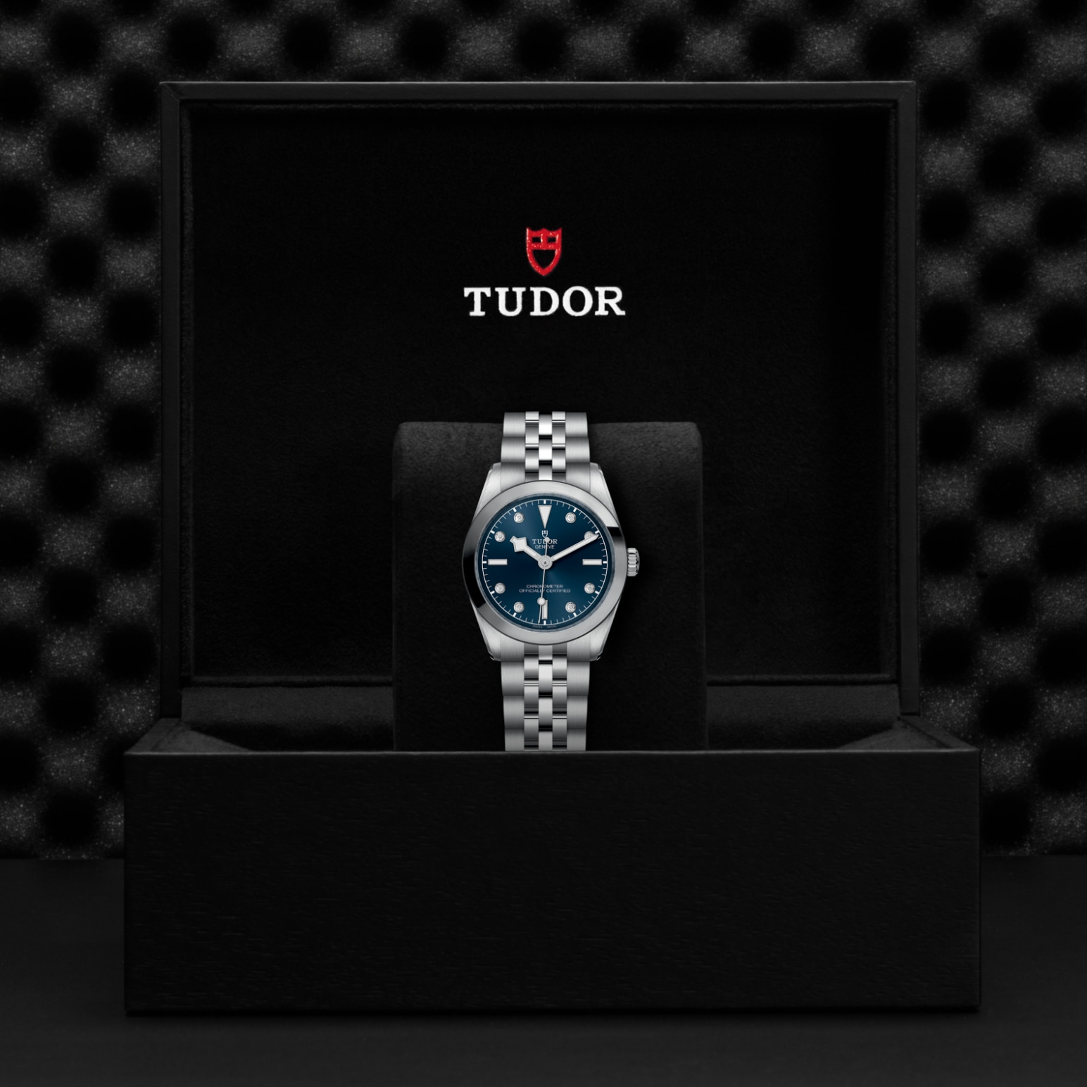 TUDOR Black Bay 31/36/39/41 Watch - M79600-0005 at Lenkersdorfer
