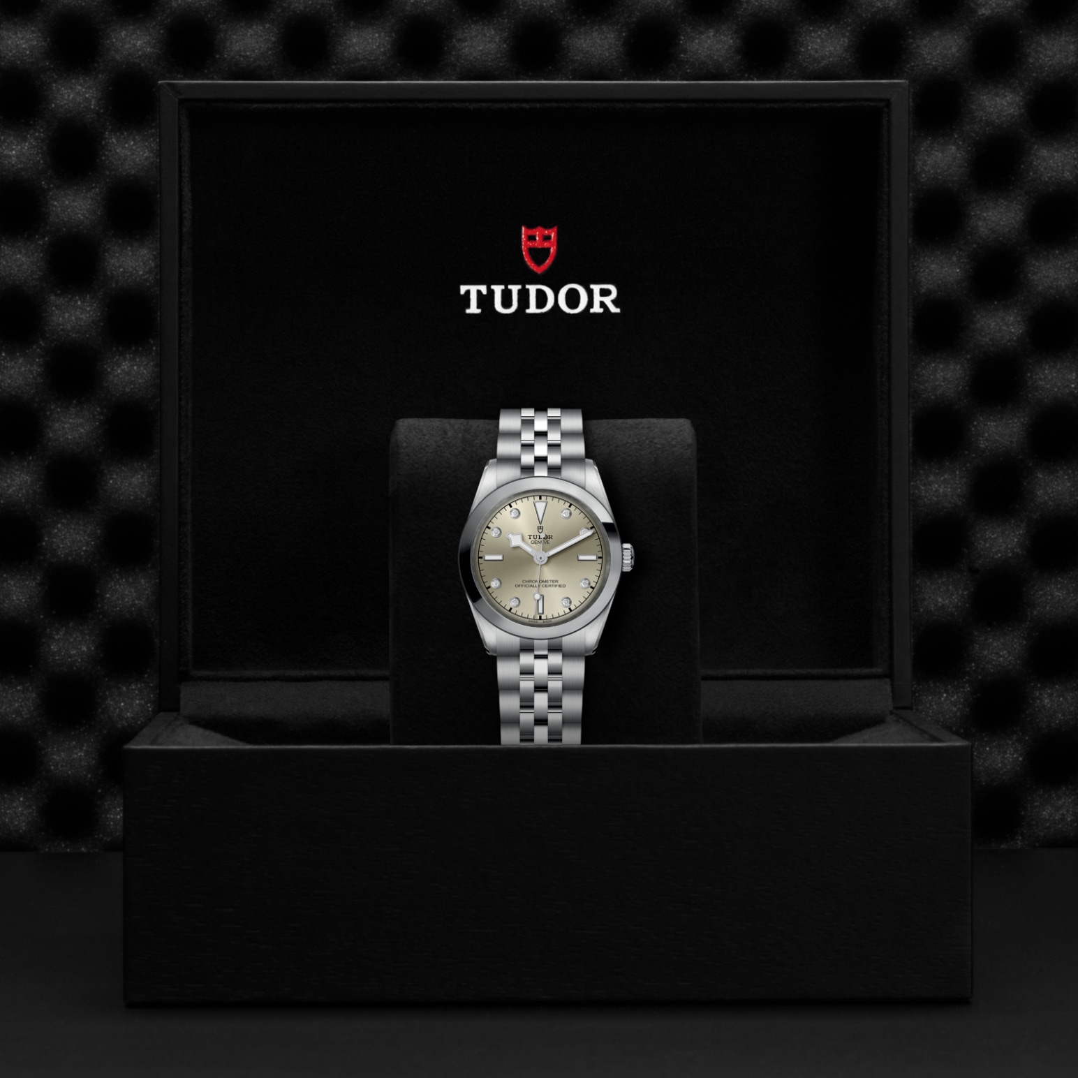 TUDOR Black Bay 31/36/39/41 Watch - M79600-0006 at Lenkersdorfer