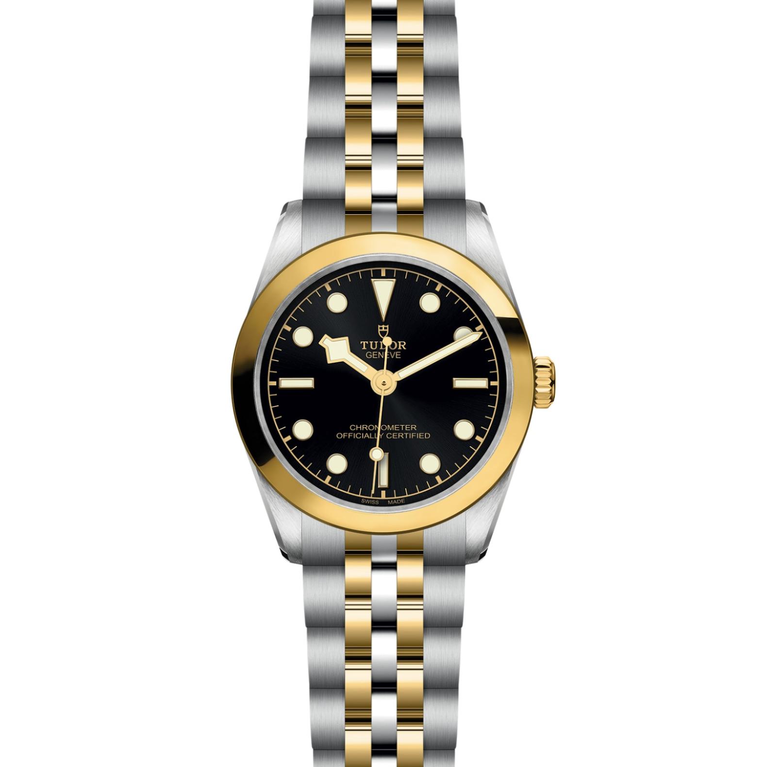 TUDOR Black Bay 31/36/39/41 S&G Watch - M79603-0001 at Lenkersdorfer