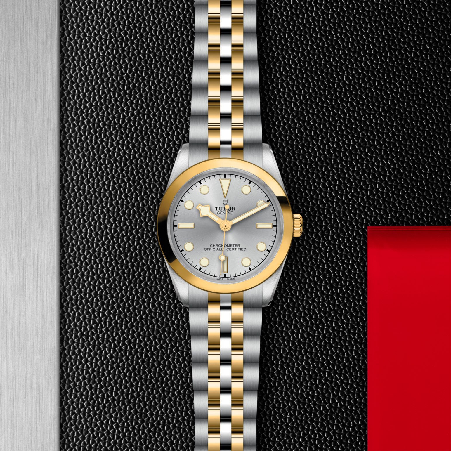 TUDOR Black Bay 31/36/39/41 S&G Watch - M79603-0002 at Lenkersdorfer