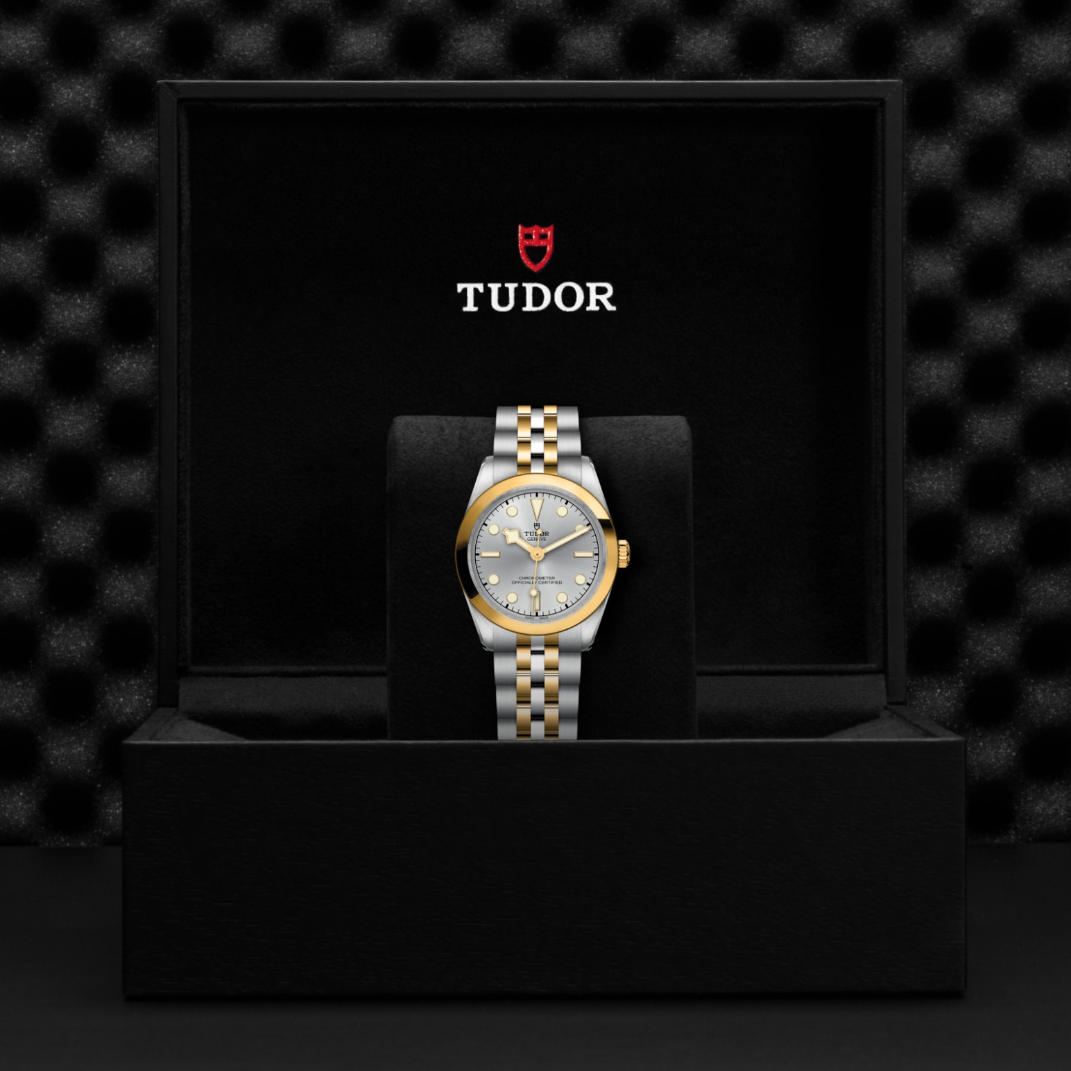 TUDOR Black Bay 31/36/39/41 S&G Watch - M79603-0002 at Lenkersdorfer