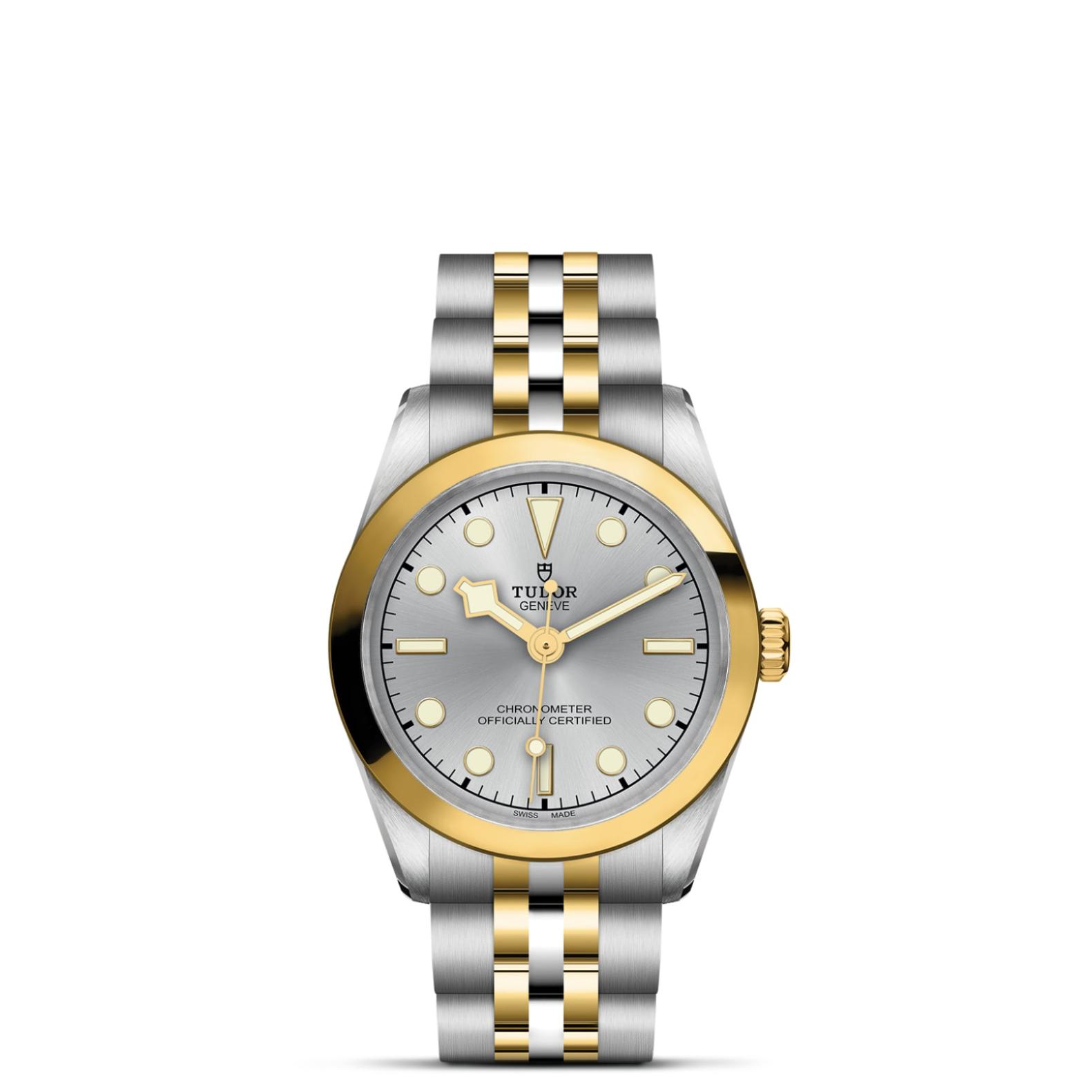 TUDOR Black Bay 31/36/39/41 S&G Watch - M79603-0002 at Lenkersdorfer