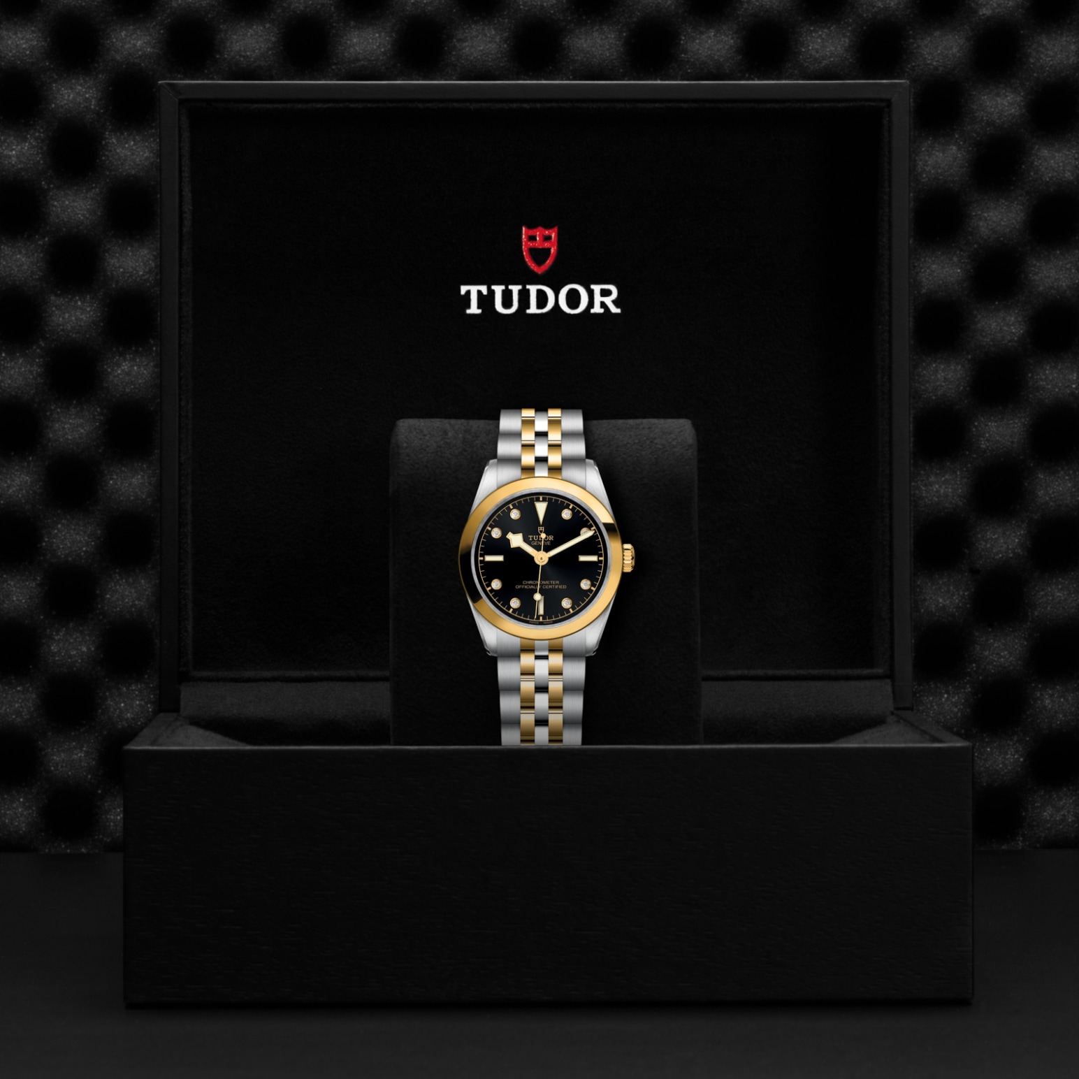 TUDOR Black Bay 31/36/39/41 S&G Watch - M79603-0006 at Lenkersdorfer
