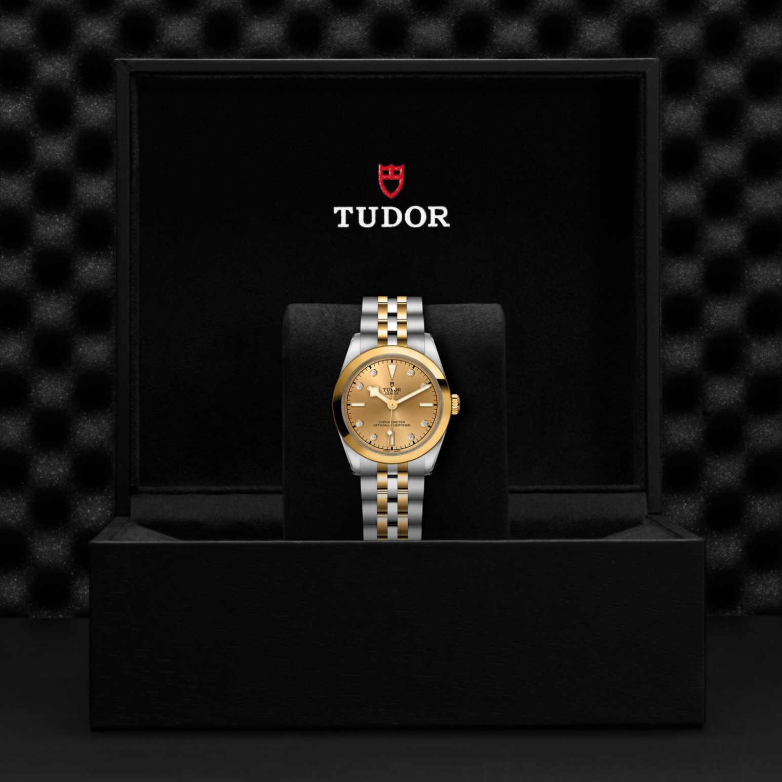 TUDOR Black Bay 31/36/39/41 S&G Watch - M79603-0008 at Lenkersdorfer