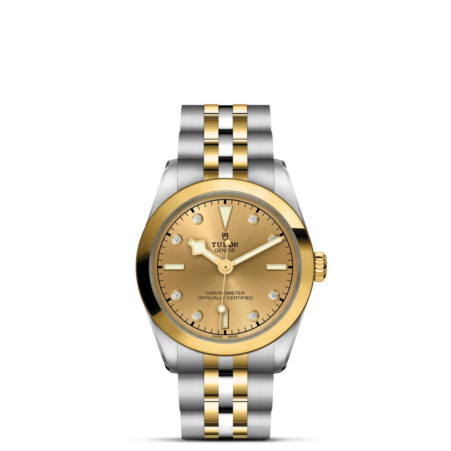 TUDOR Black Bay 31/36/39/41 S&G Watch - M79603-0008 at Lenkersdorfer