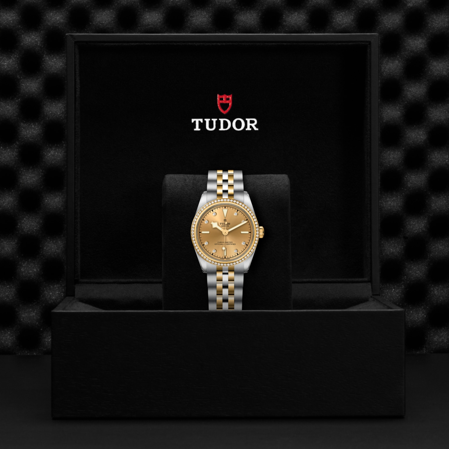 TUDOR Black Bay 31/36/39/41 S&G Watch - M79613-0007 at Lenkersdorfer