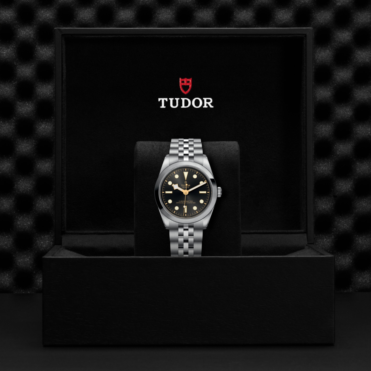 TUDOR Black Bay 31/36/39/41 Watch - M79640-0001 at Lenkersdorfer