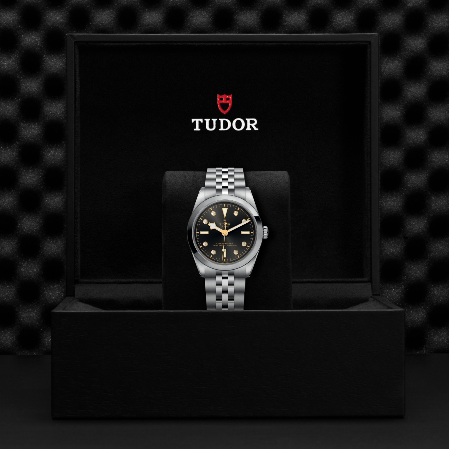 TUDOR Black Bay 31/36/39/41 Watch - M79640-0004 at Lenkersdorfer