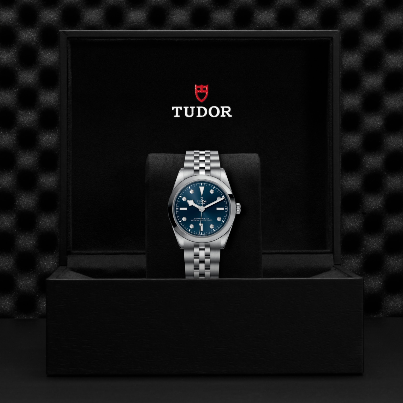 TUDOR Black Bay 31/36/39/41 Watch - M79640-0005 at Lenkersdorfer