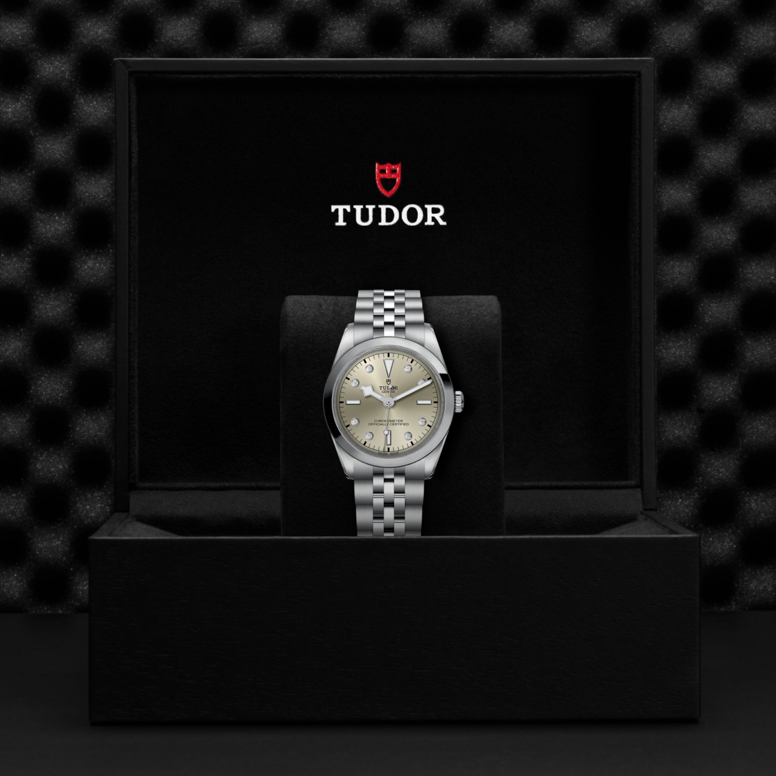 TUDOR Black Bay 31/36/39/41 Watch - M79640-0006 at Lenkersdorfer