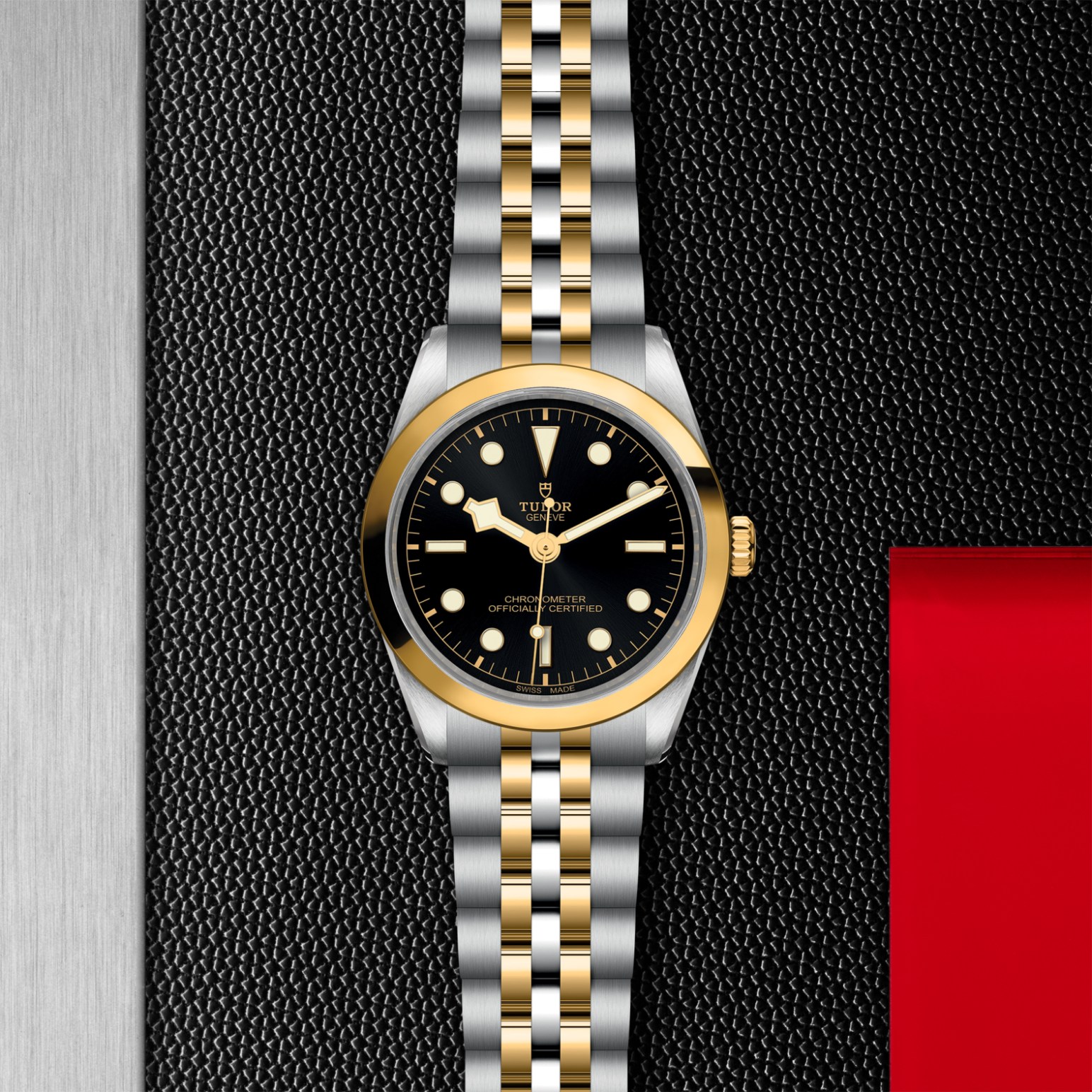 TUDOR Black Bay 31/36/39/41 S&G Watch - M79643-0001 at Lenkersdorfer