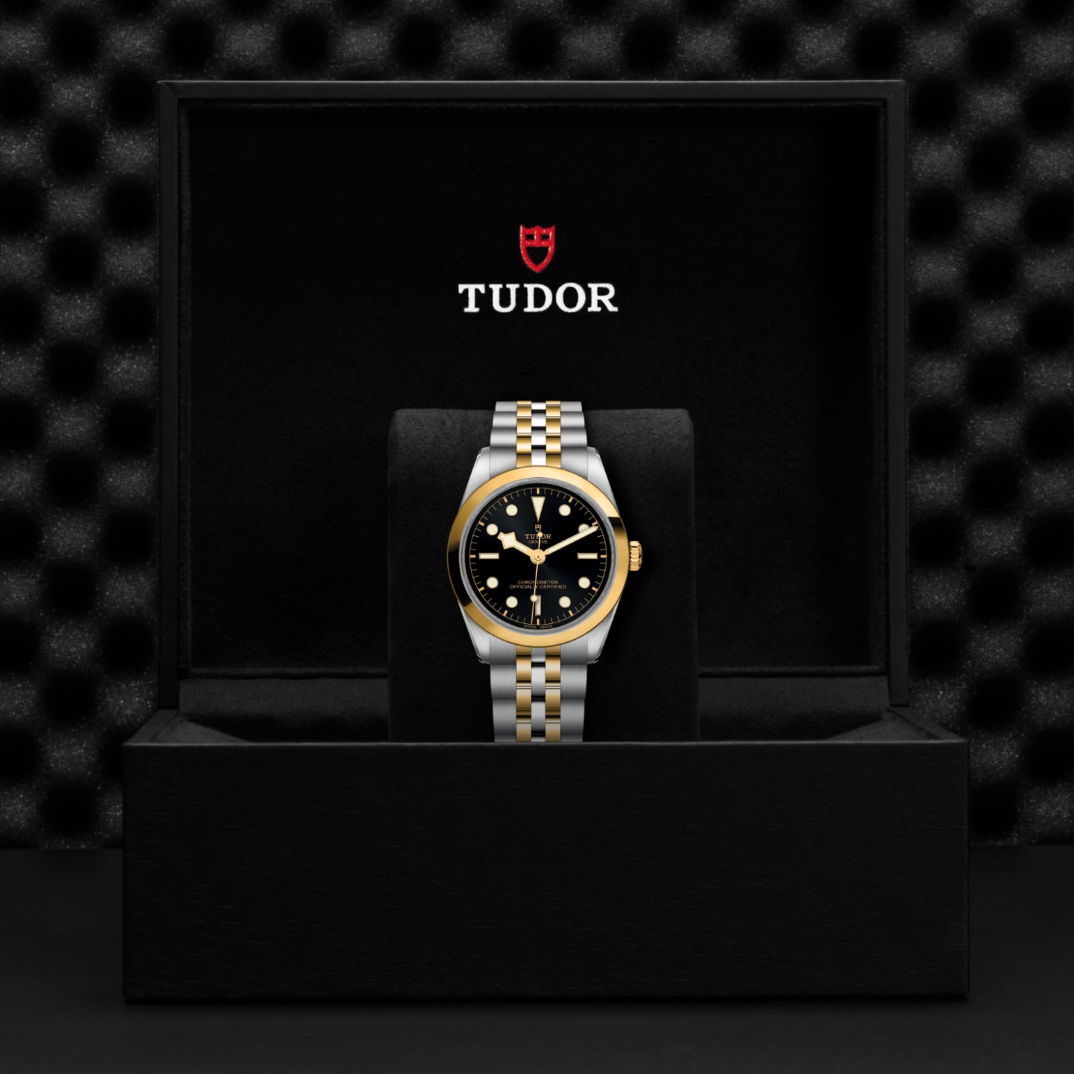 TUDOR Black Bay 31/36/39/41 S&G Watch - M79643-0001 at Lenkersdorfer