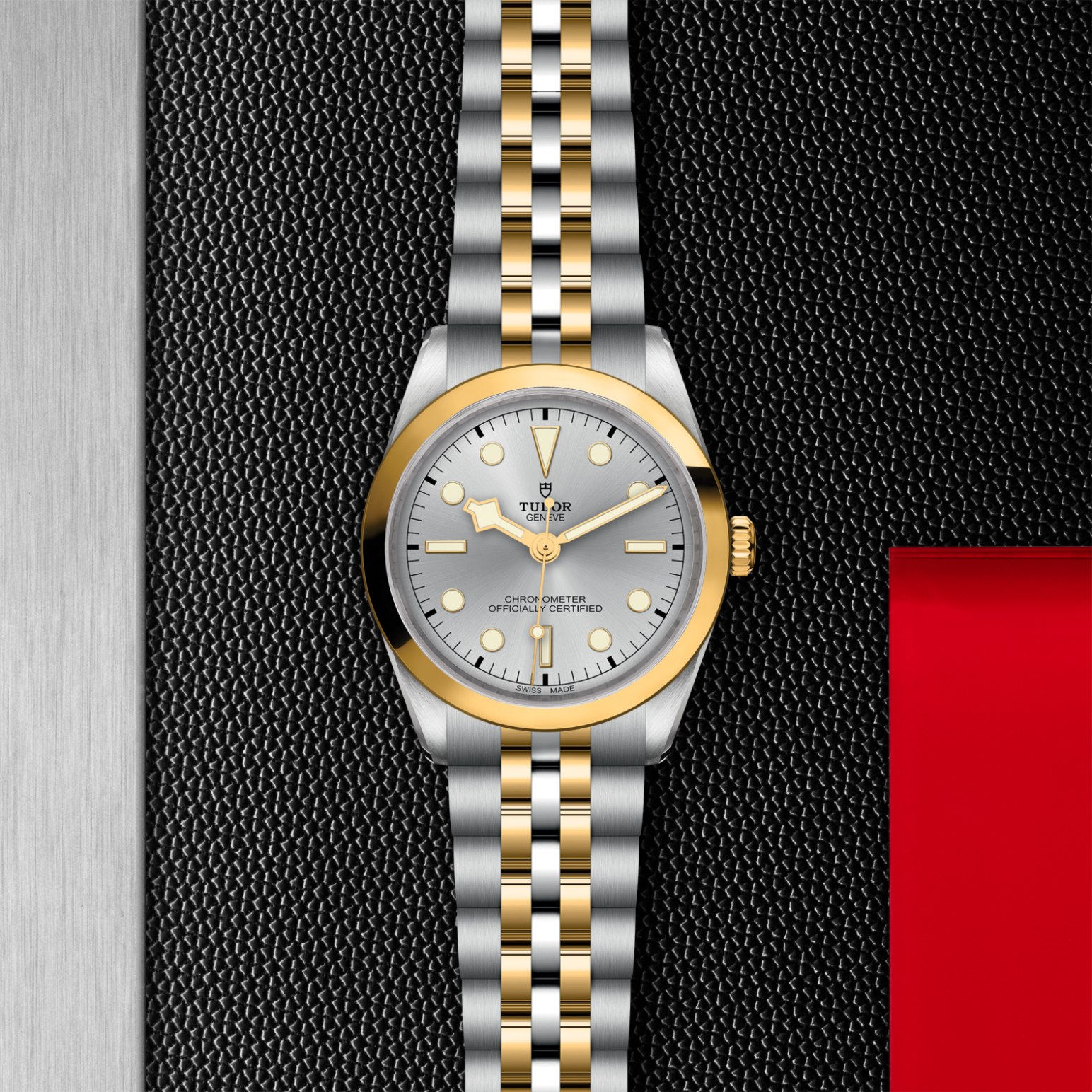 TUDOR Black Bay 31/36/39/41 S&G Watch - M79643-0002 at Lenkersdorfer