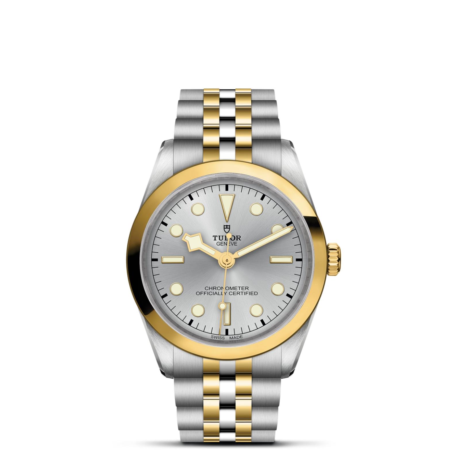 TUDOR Black Bay 31/36/39/41 S&G Watch - M79643-0002 at Lenkersdorfer
