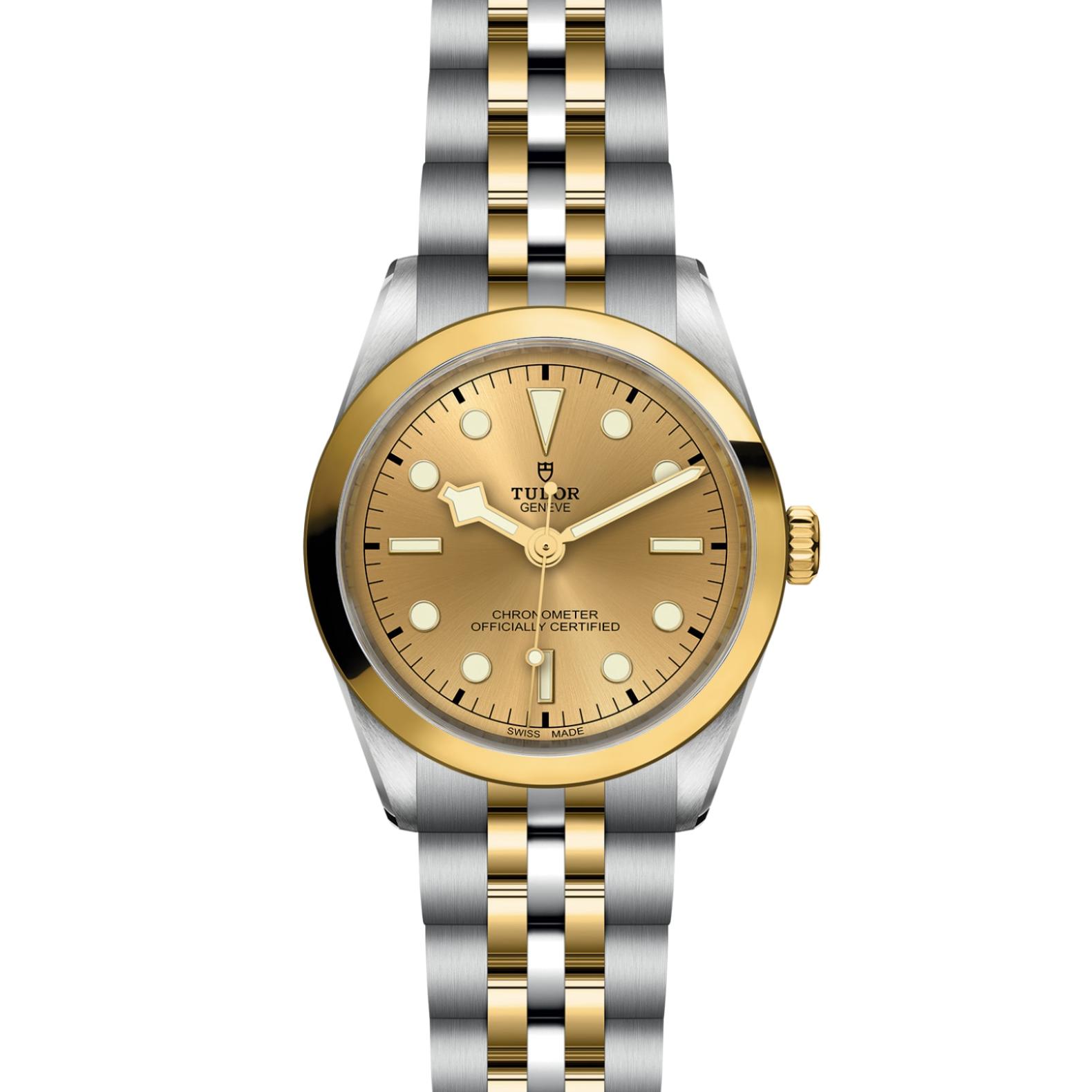 TUDOR Black Bay 31/36/39/41 S&G Watch - M79643-0005 at Lenkersdorfer