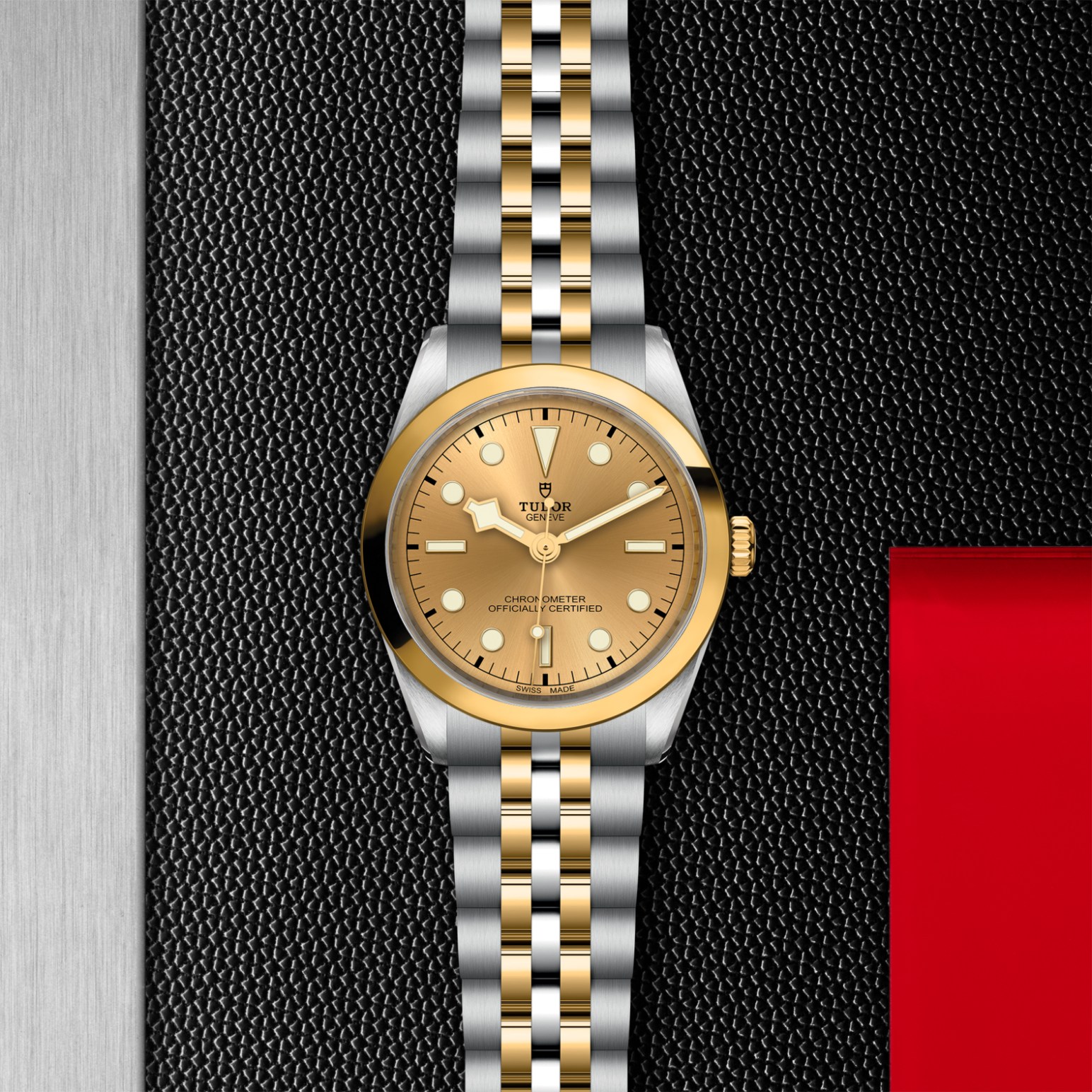 TUDOR Black Bay 31/36/39/41 S&G Watch - M79643-0005 at Lenkersdorfer